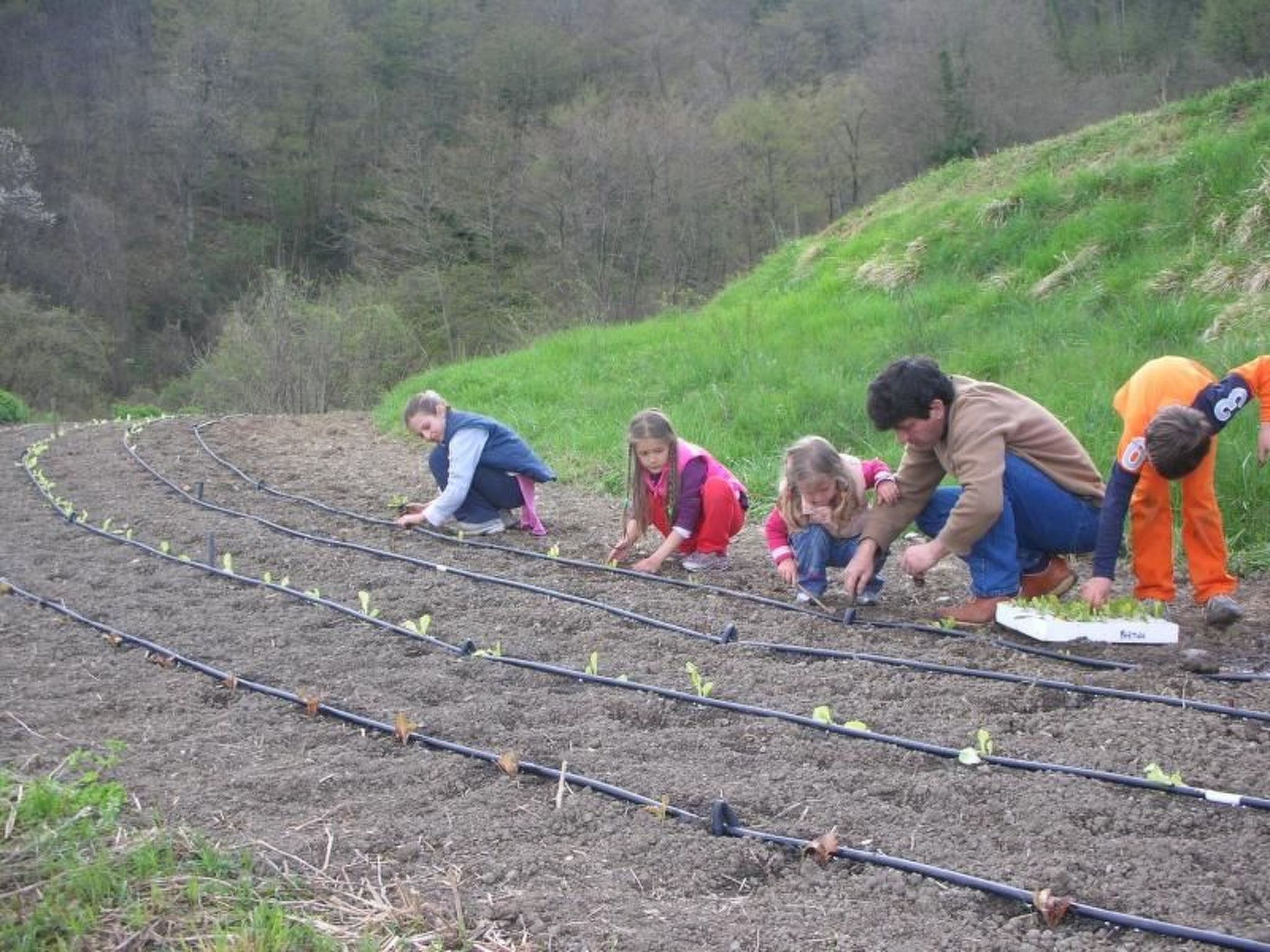 Sole-Image-tags.info