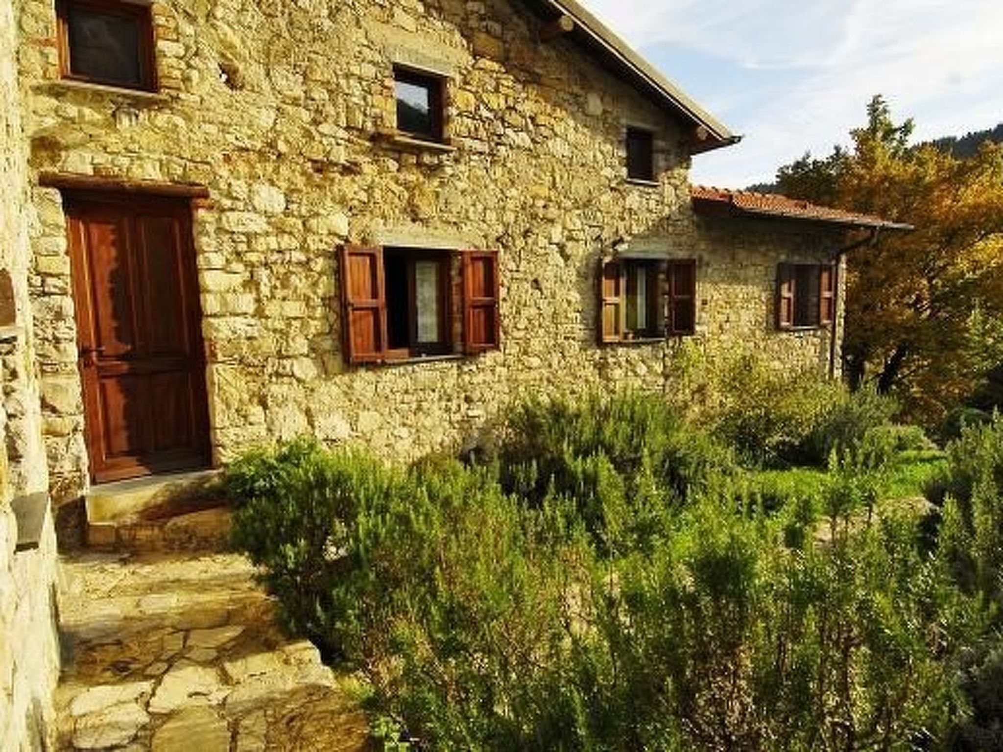 Lumache-Image-tags.info