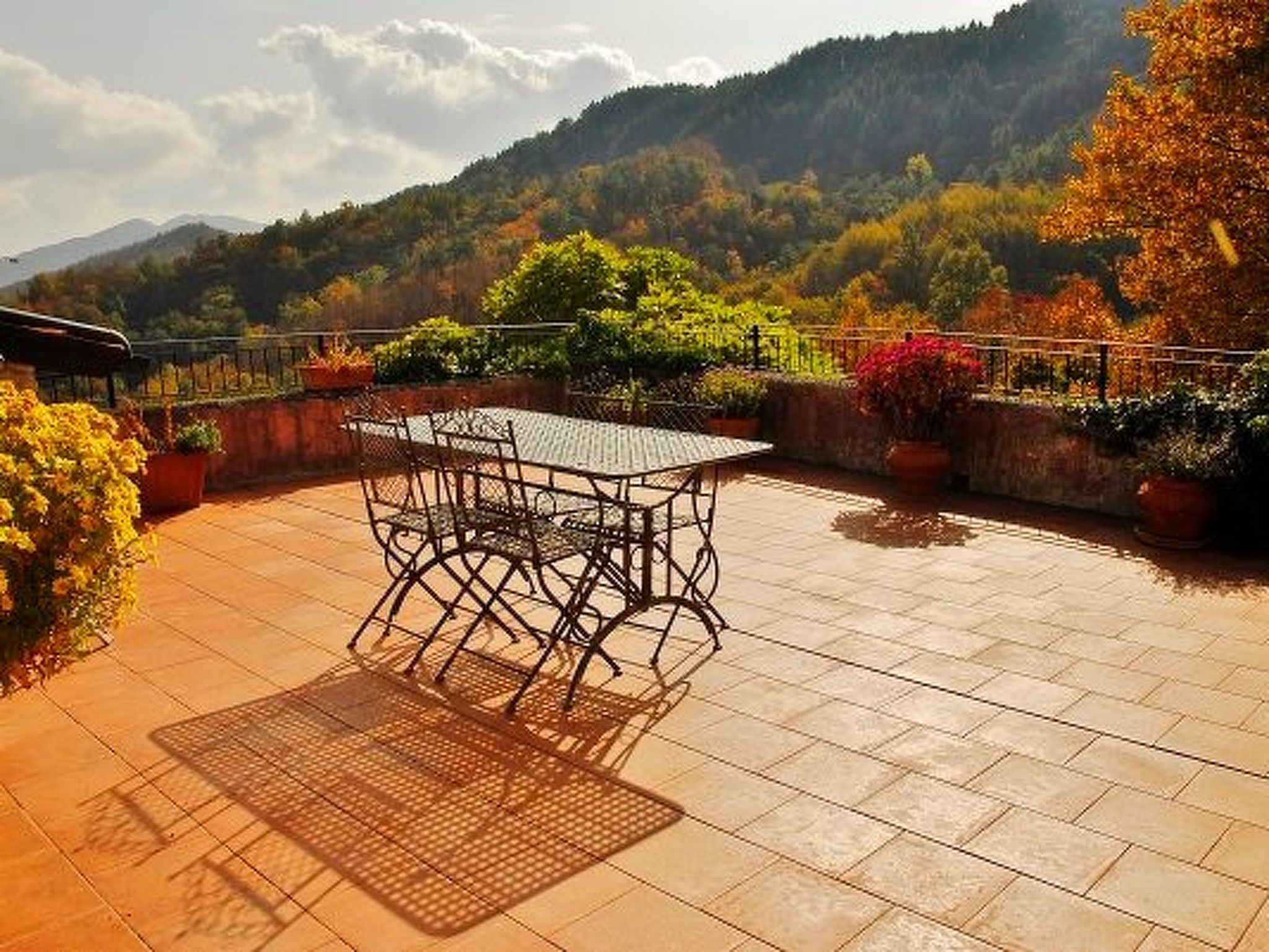 Lumache-Image-tags.info