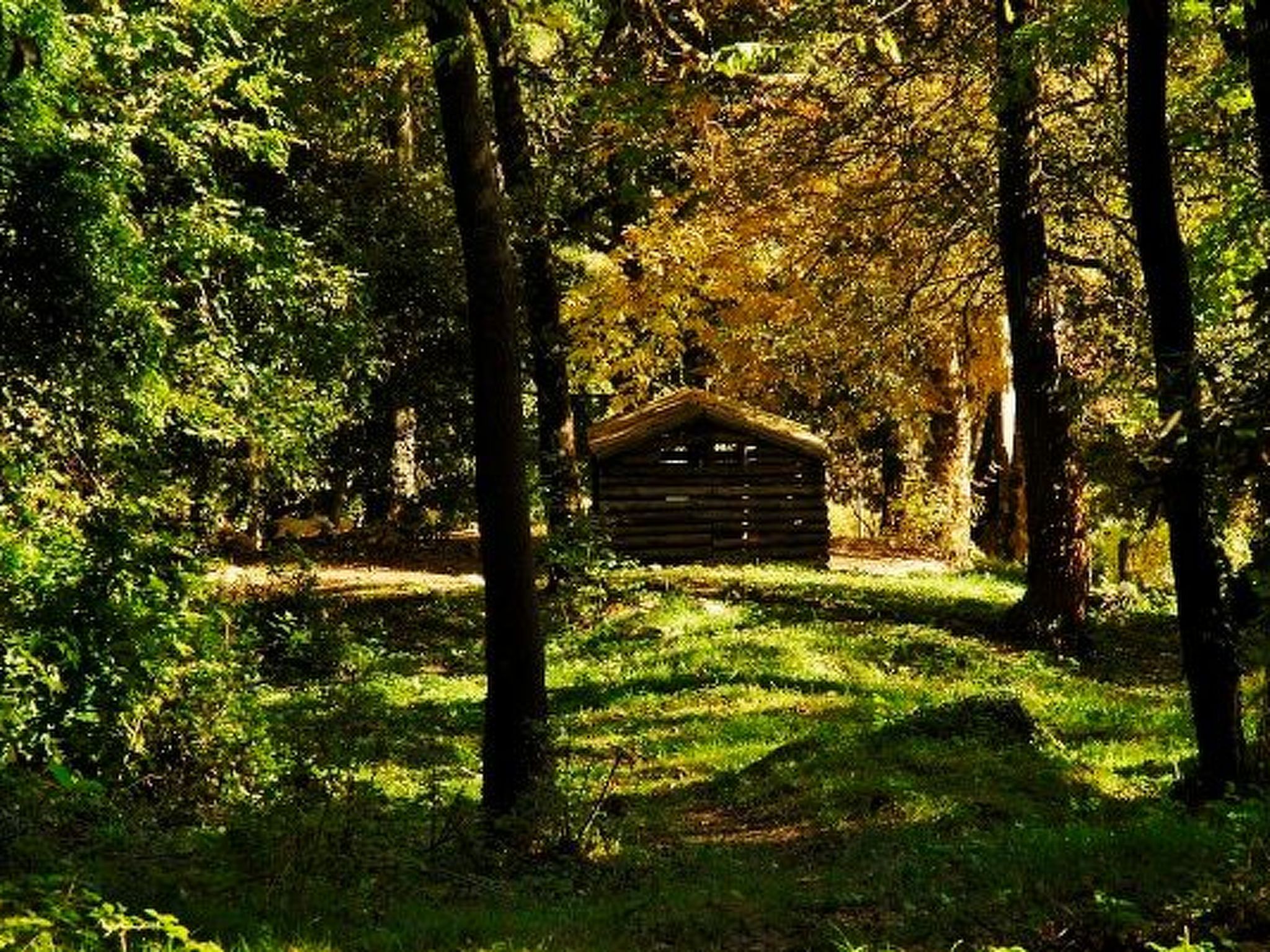 Lumache-Image-tags.info