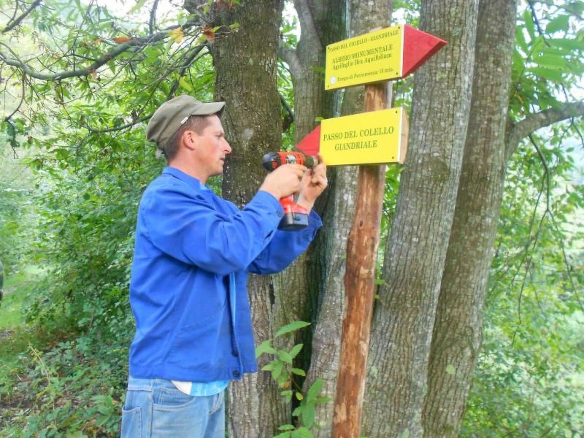 Lumache-Image-tags.info