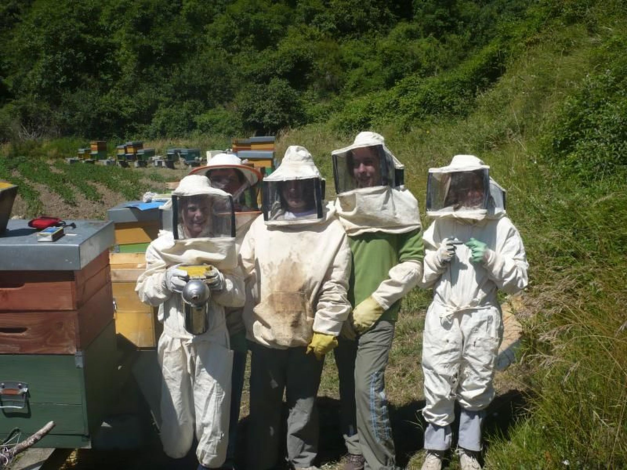 Lumache-Image-tags.info