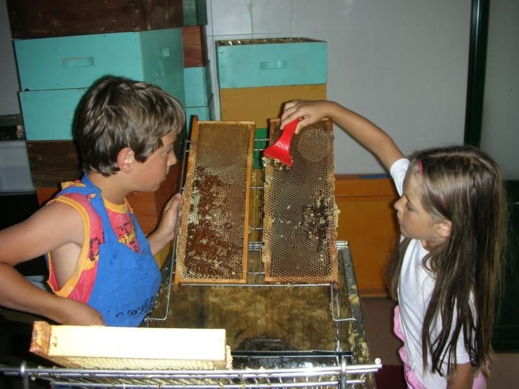 Lumache-Image-tags.info