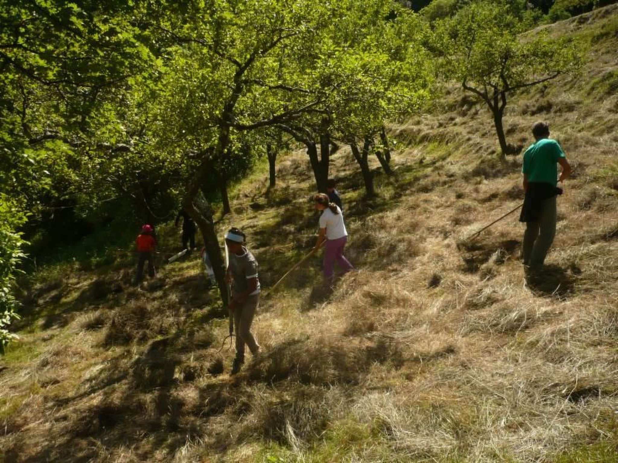 Lumache-Image-tags.info