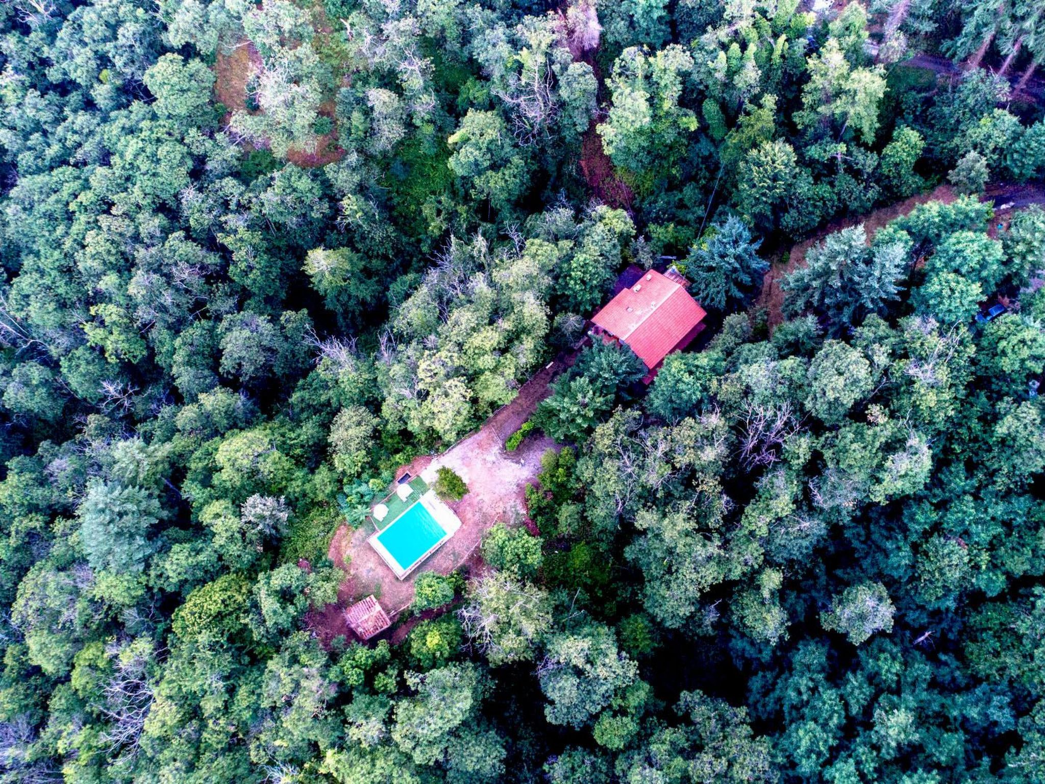 Vakantiehuis met privé zwembad in Medicina (Italië) voor 6 personen