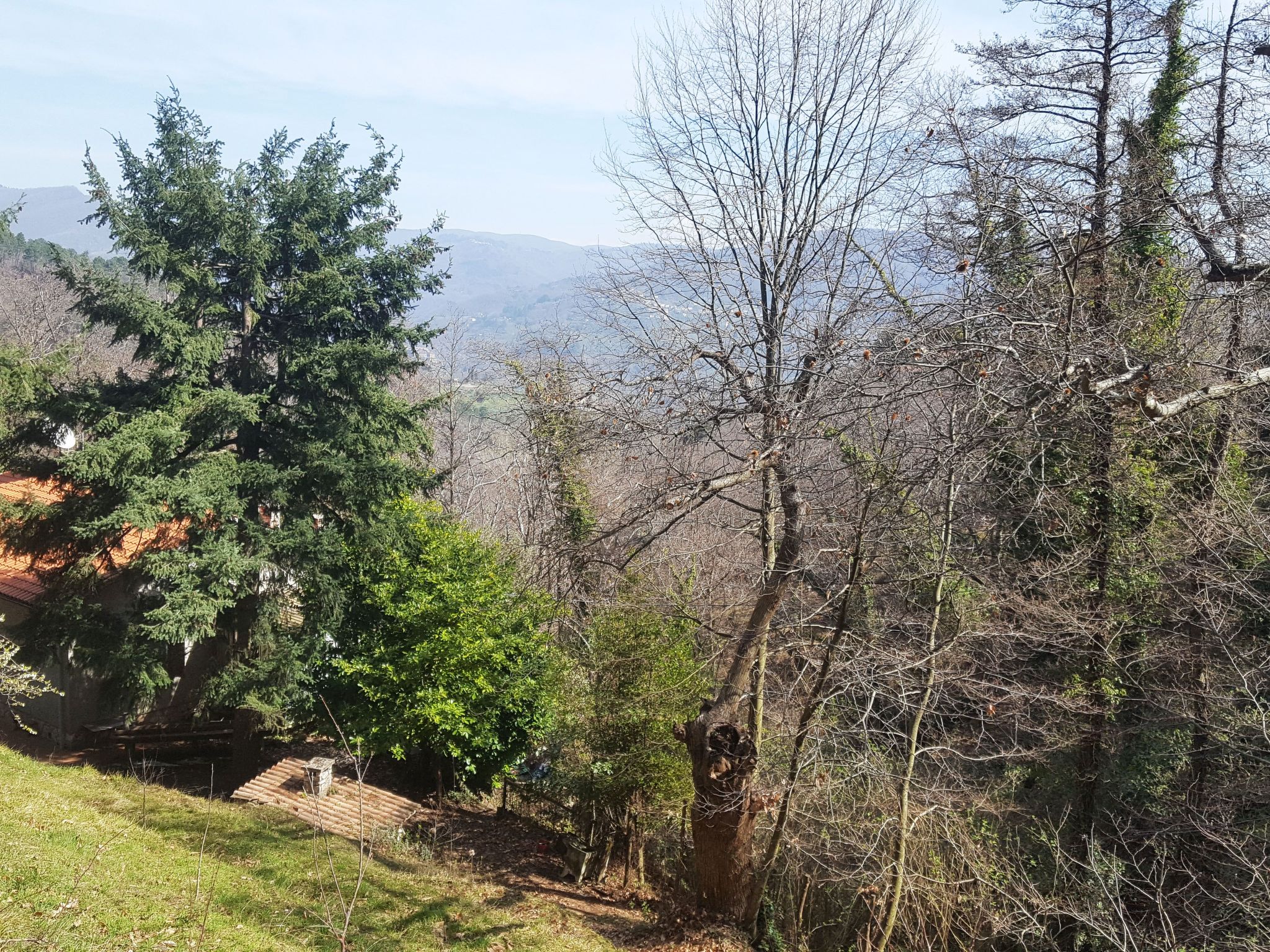Haus inmitten der Natur mit Schwimmbad-Binnen