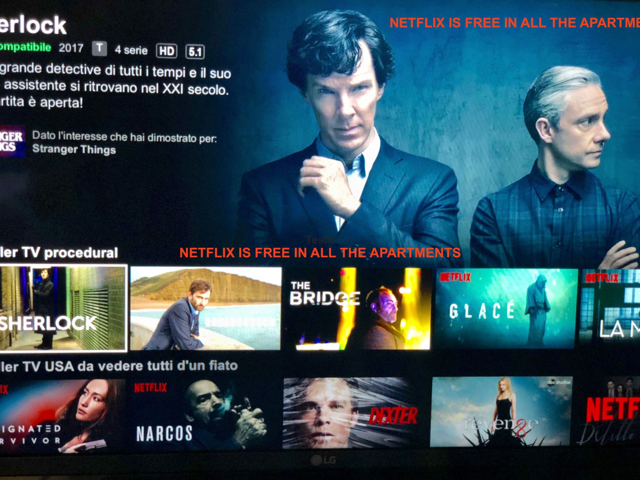 Wohnung mit großer privater Terrasse im Grünen-Binnen