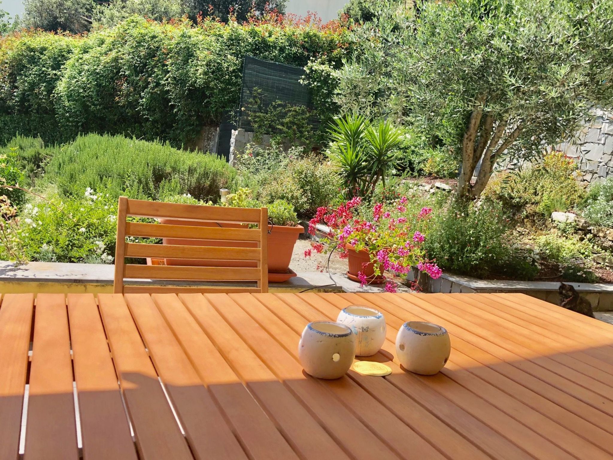 Wohnung mit großer privater Terrasse im Grünen