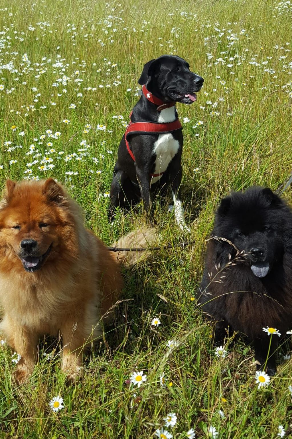 In mediterraner Kulisse-Inside