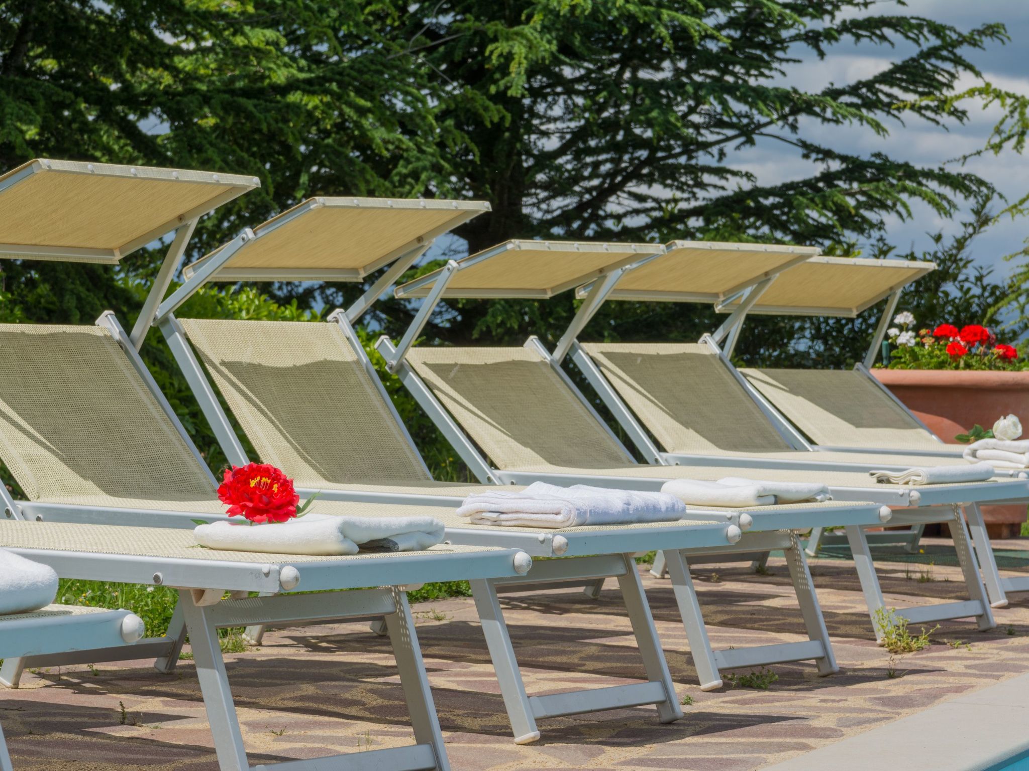 'Giulia' mit Terrasse-Binnen