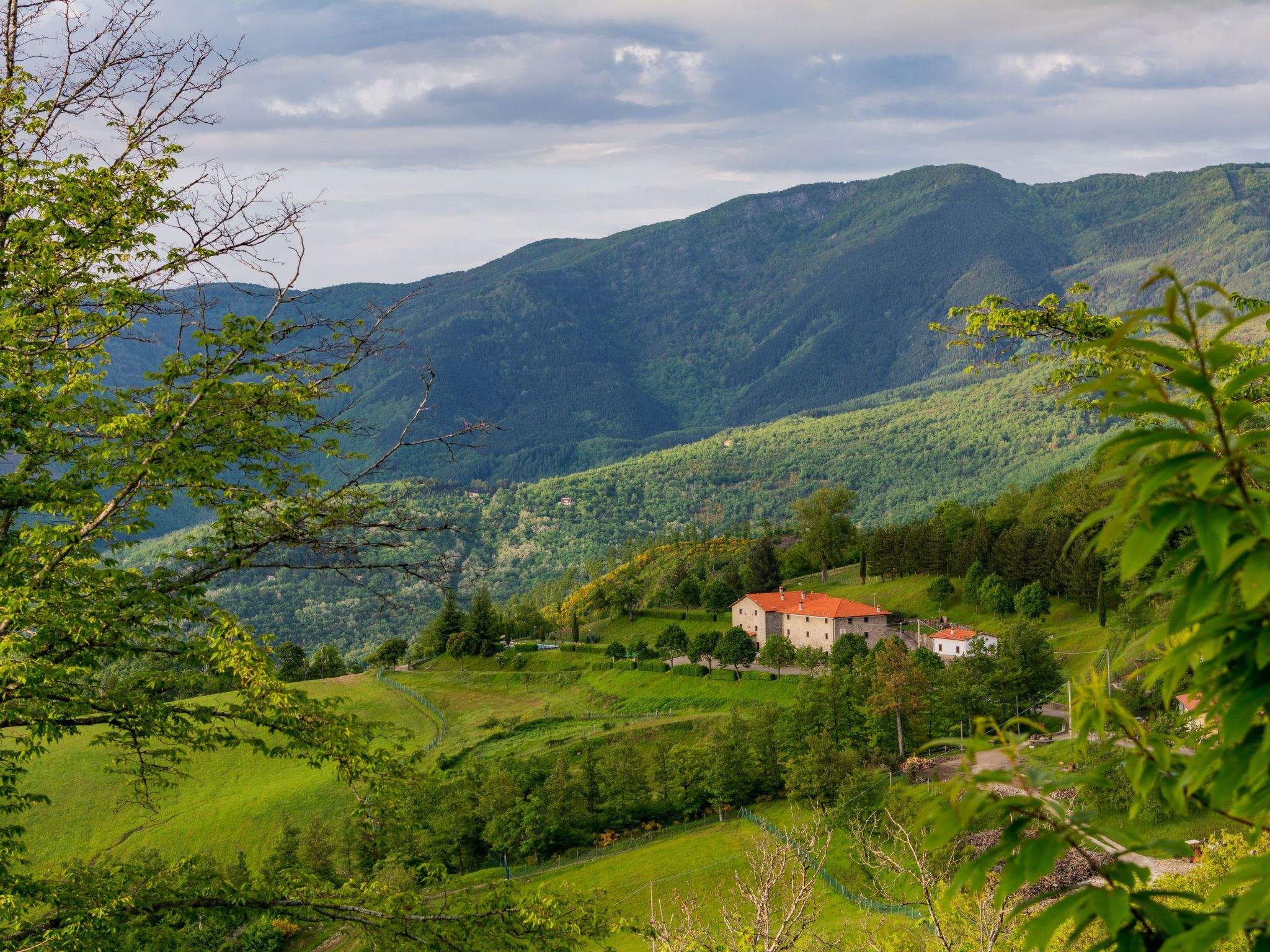 'Gianna' mit Terrasse
