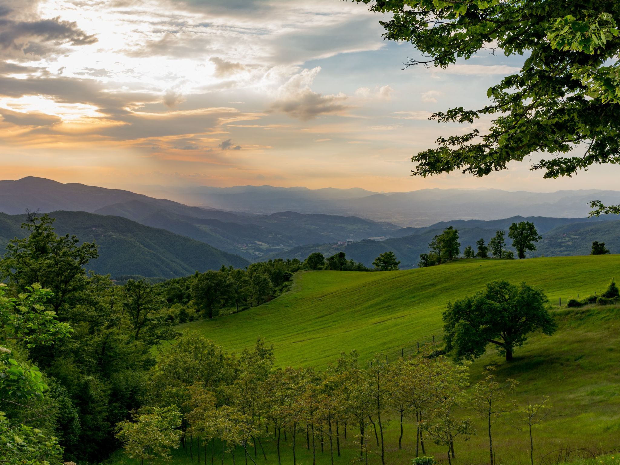 'Gianna' mit Terrasse