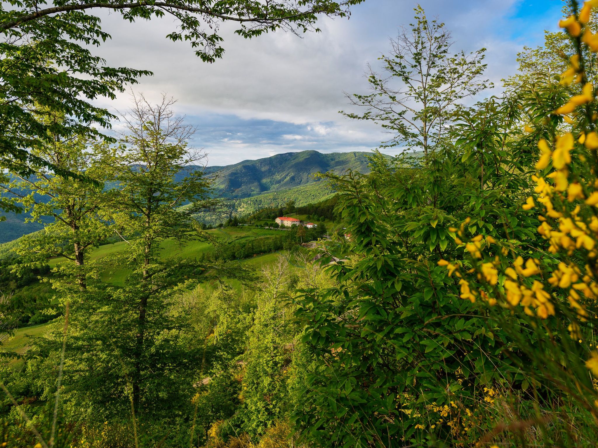 Wohnung 'Marco' mit Terrasse