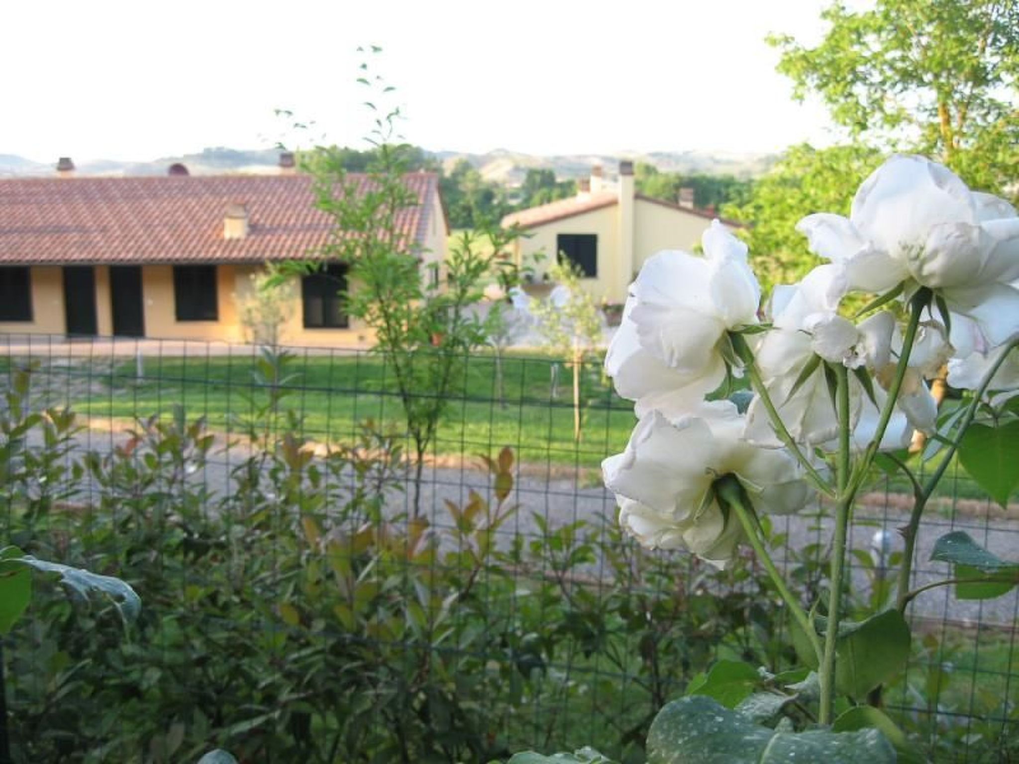 Lo Strettoio Wohnung mit Gemeinschaftspool-Inside