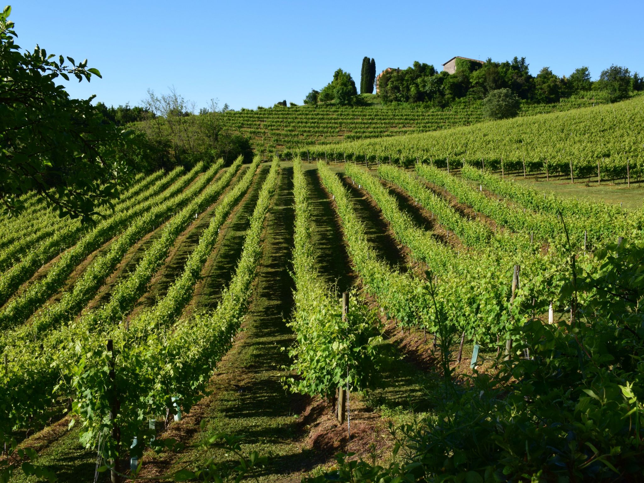 Anwesen mit Gemeinschaftspool-Binnen