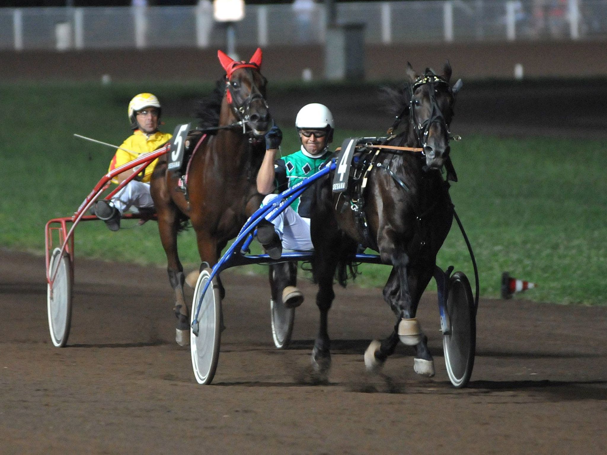 Agrotourismus - Wohnung mit Pool-Binnen