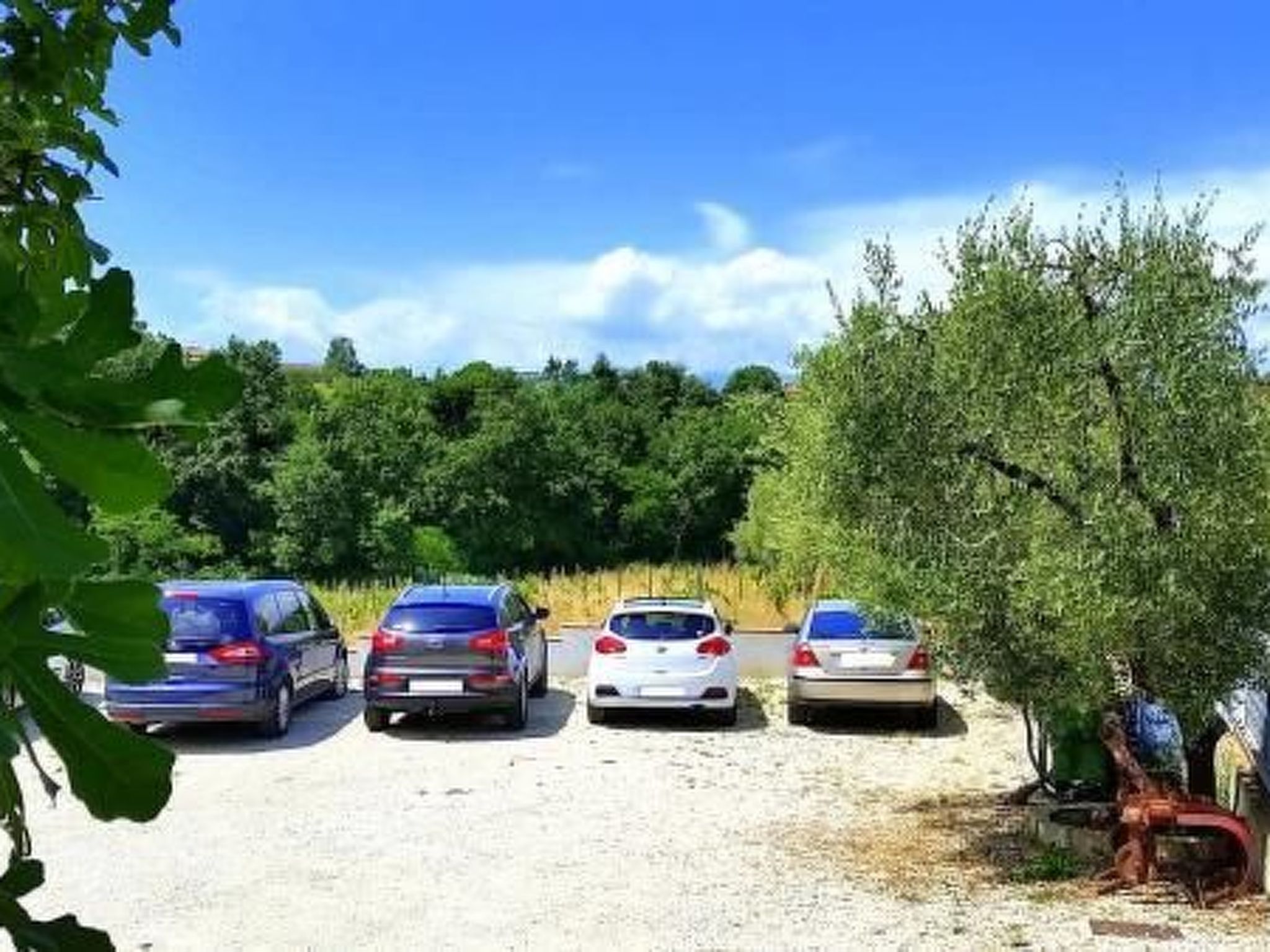 Agrotourismus - Wohnung mit Pool-Binnen