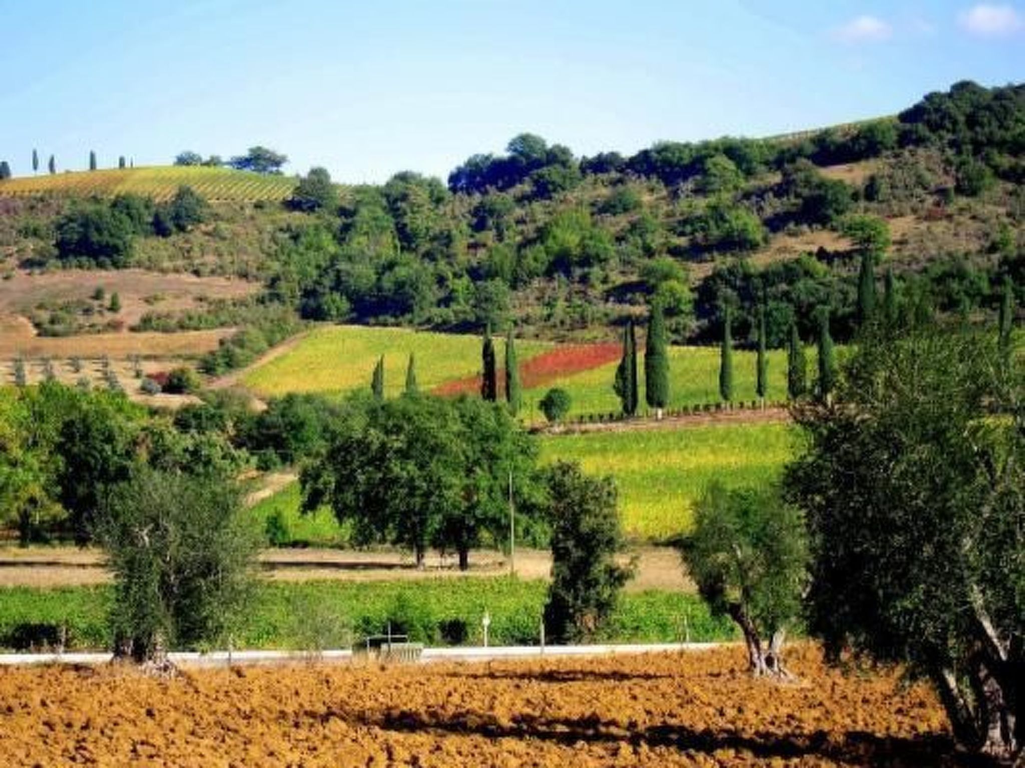Agrotourismus - Wohnung mit Pool-Binnen