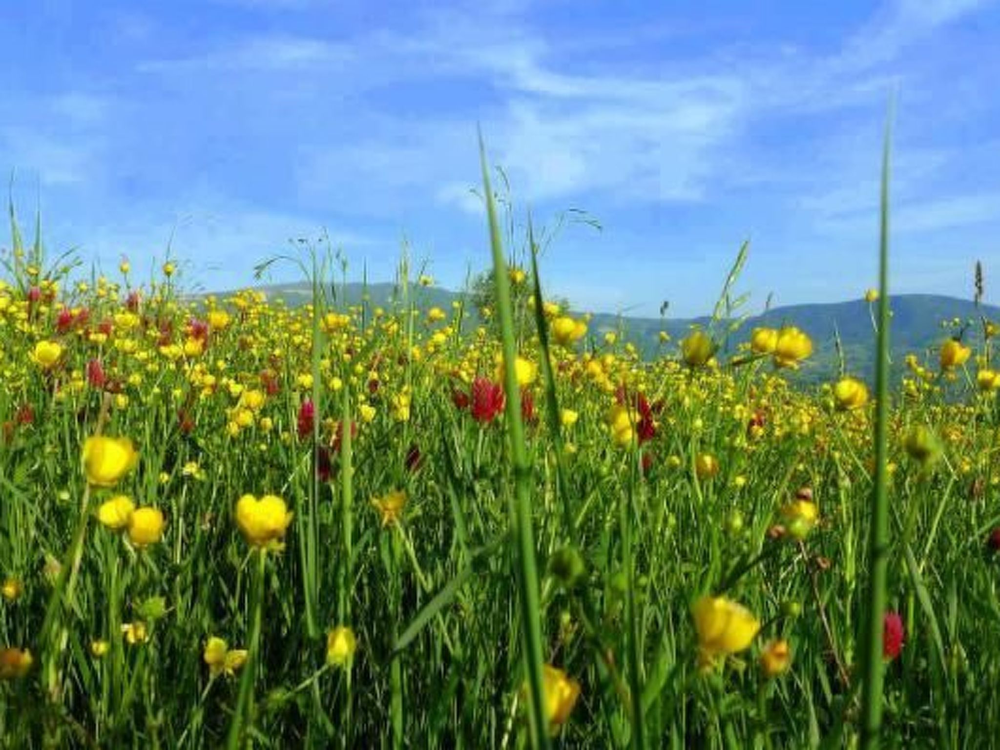 Agrotourismus - Wohnung mit Pool-Binnen