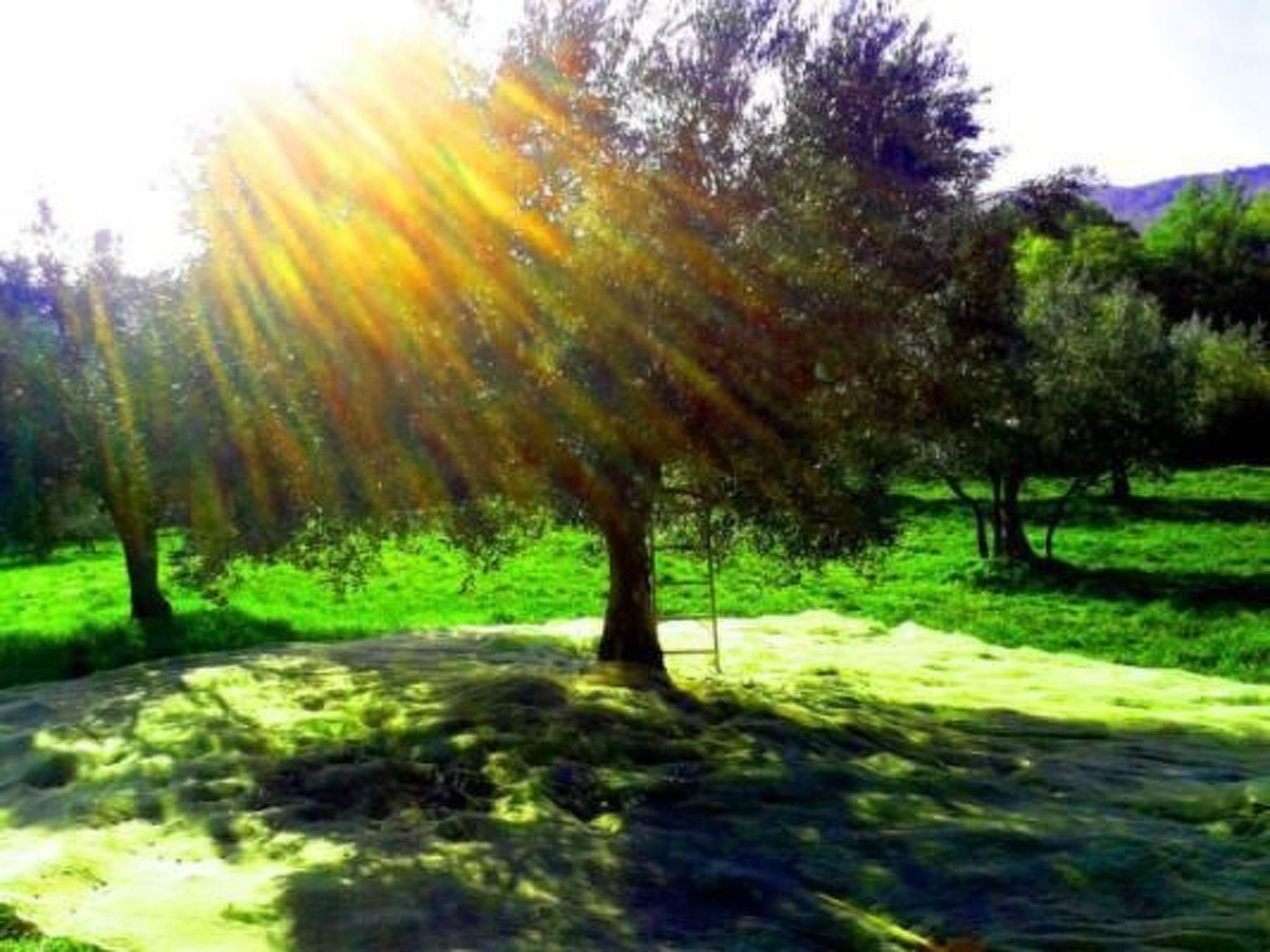 Agrotourismus - Wohnung mit Pool-Binnen