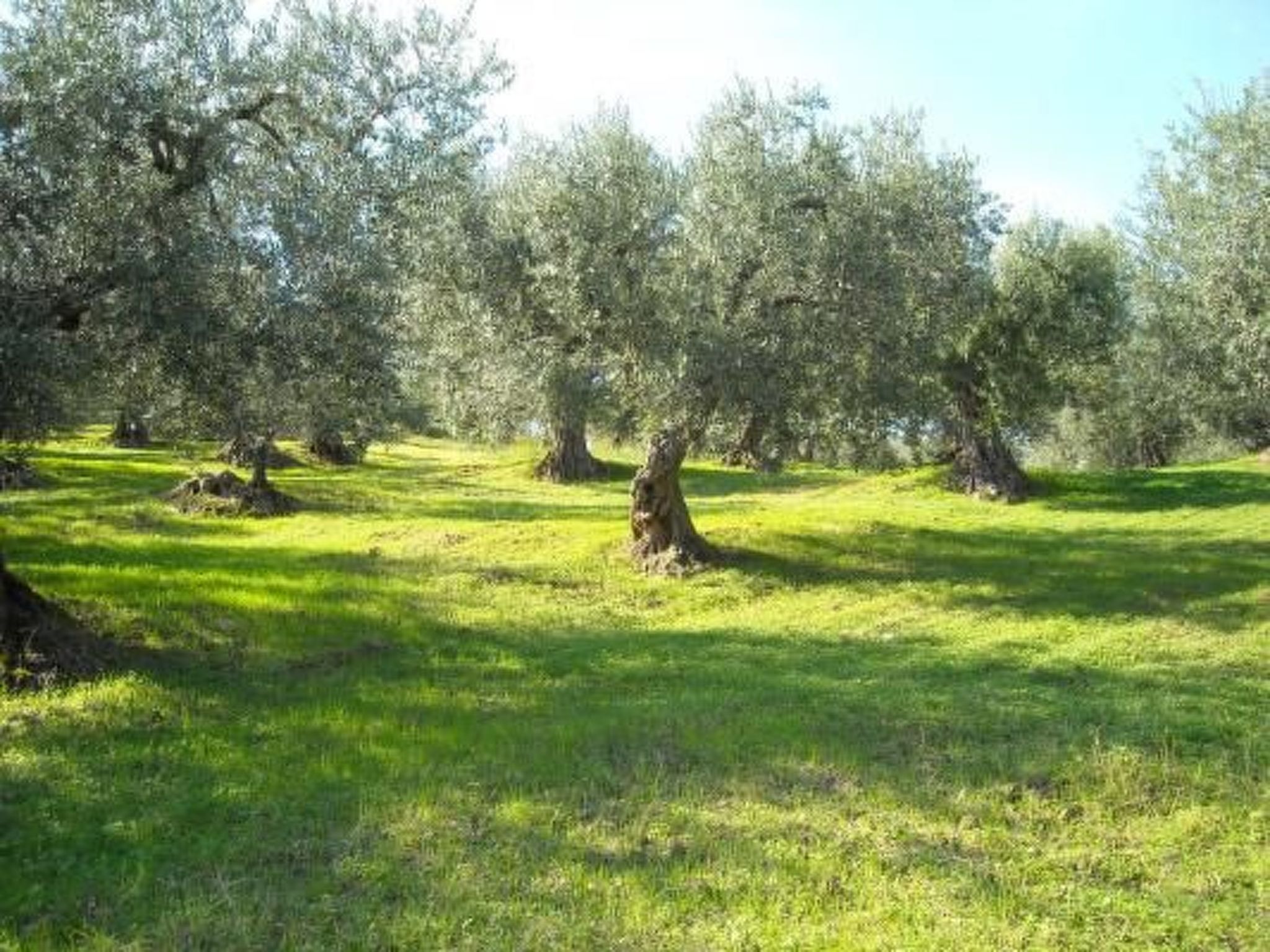 Anwesen mit Schwimmbad-Binnen