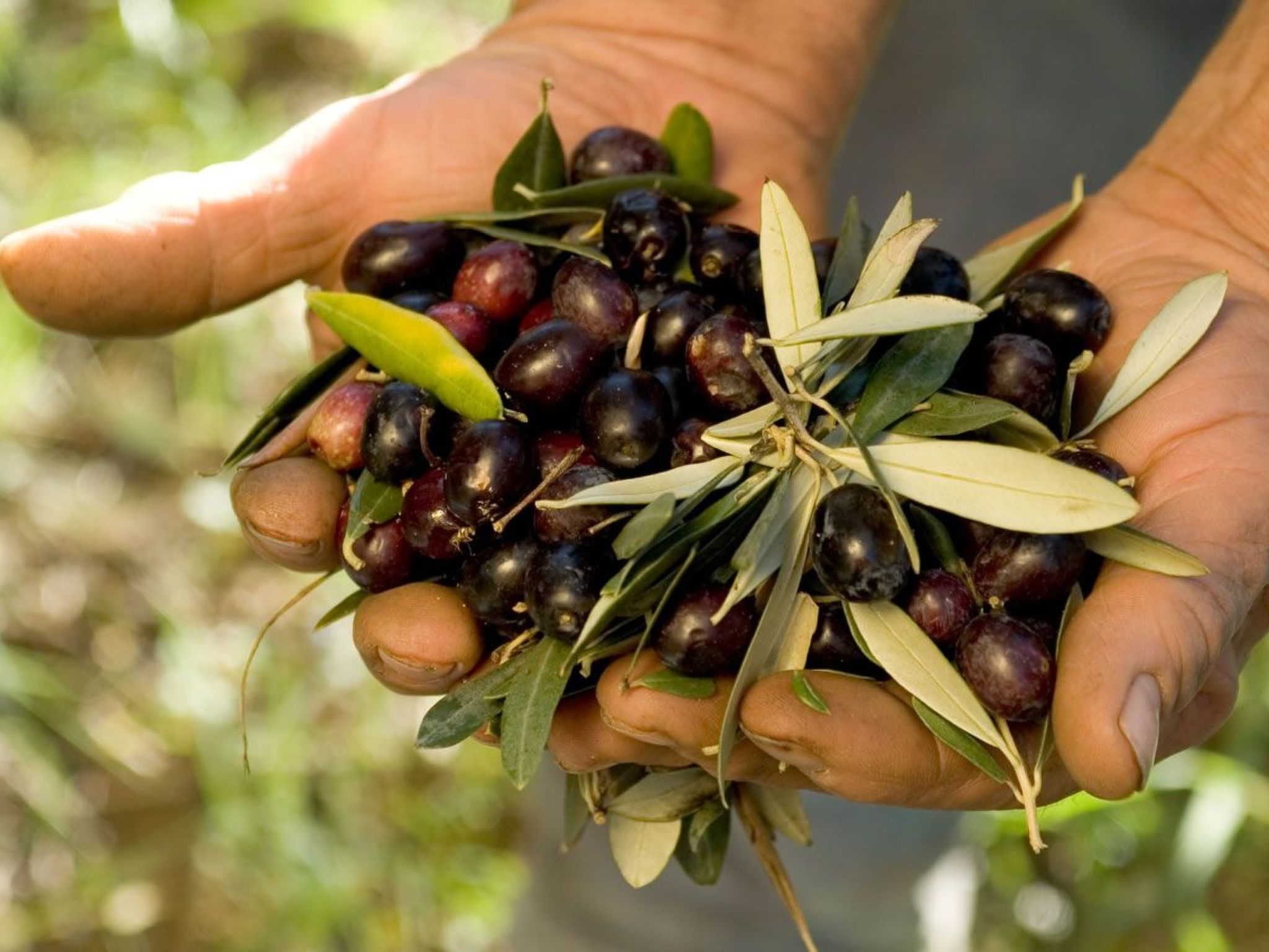 Anwesen mit Schwimmbad-Binnen