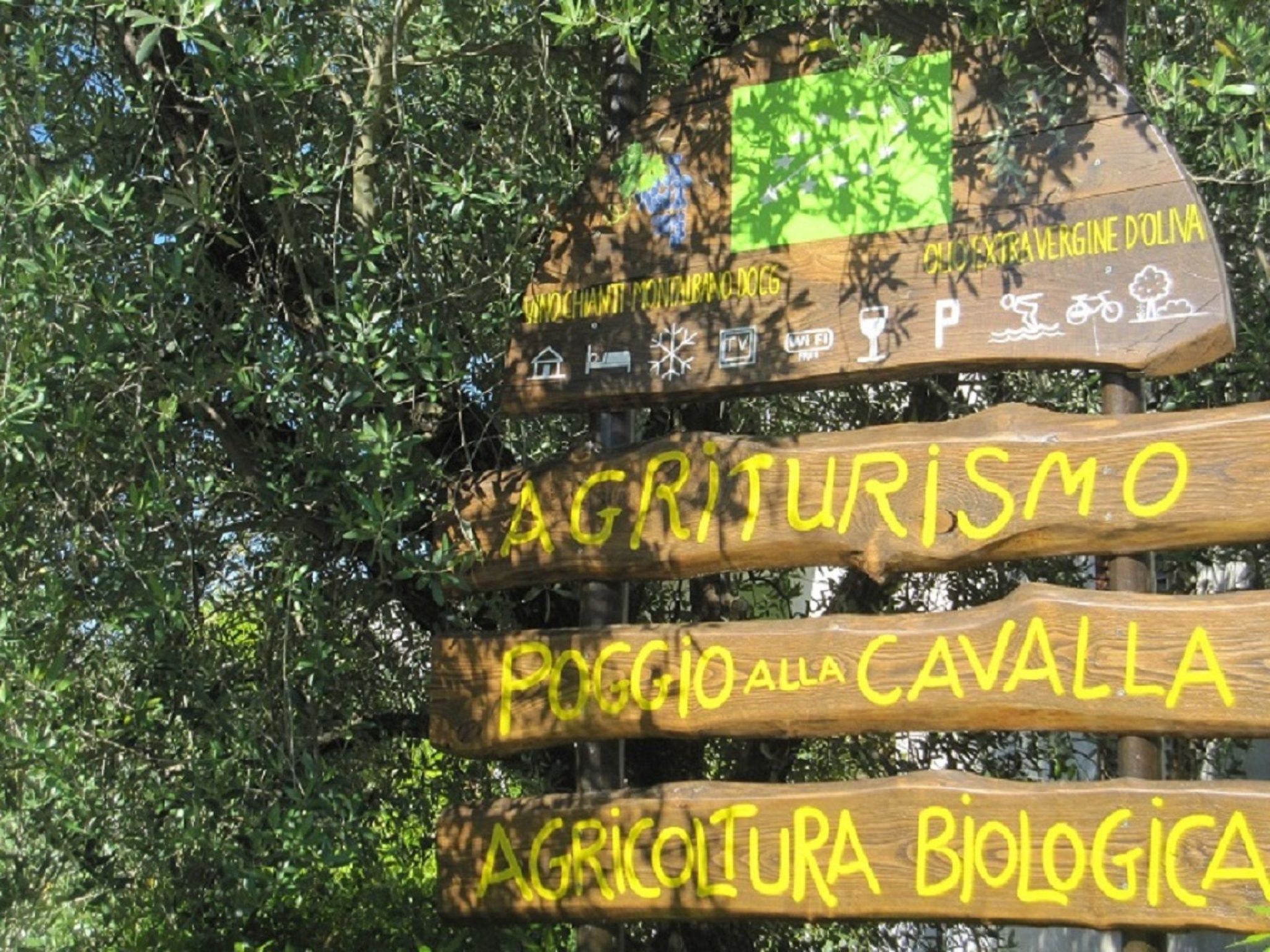 Charmante Wohnung mit privatem Garten-Binnen