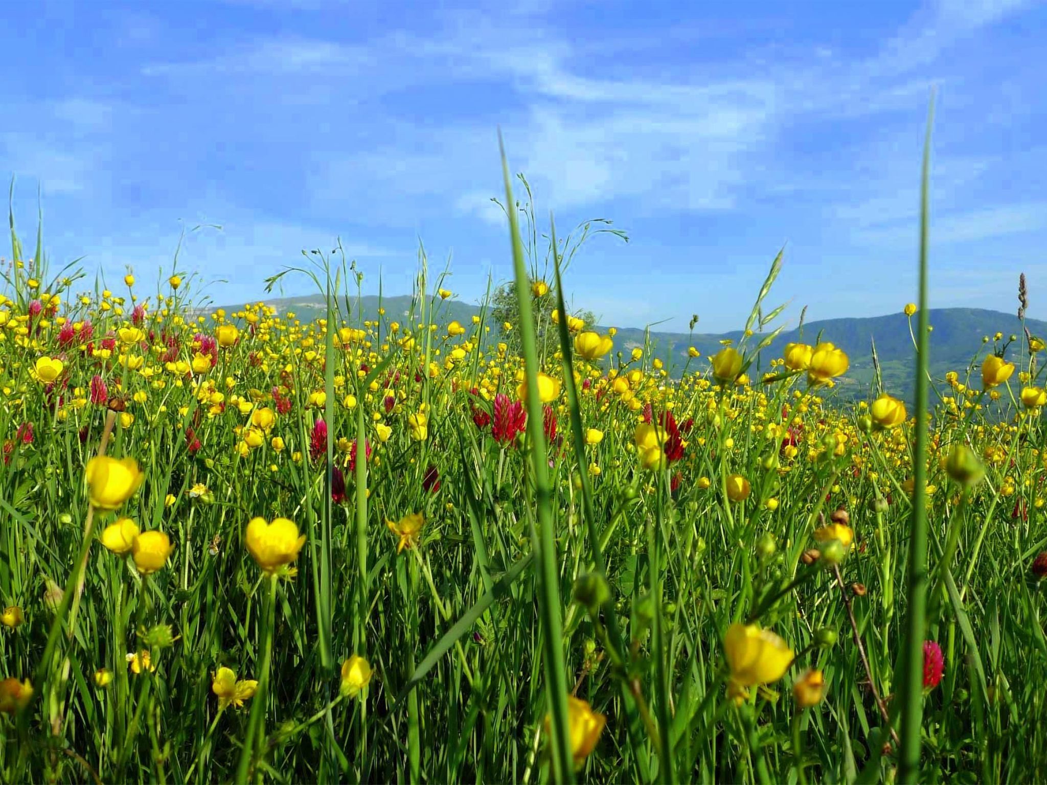 Charmante Wohnung mit privatem Garten-Binnen
