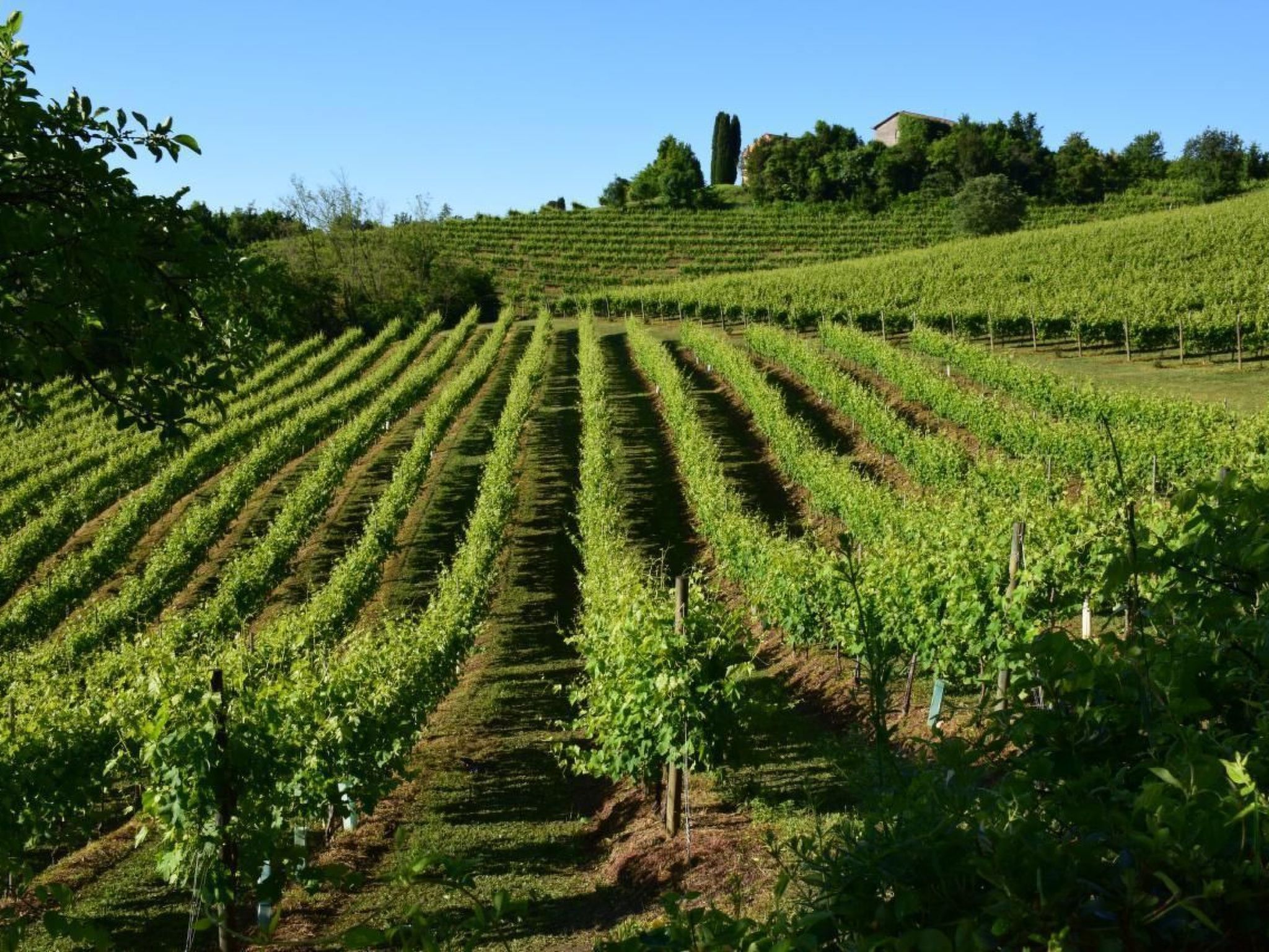 Anwesen mit Gemeinschaftspool-Binnen
