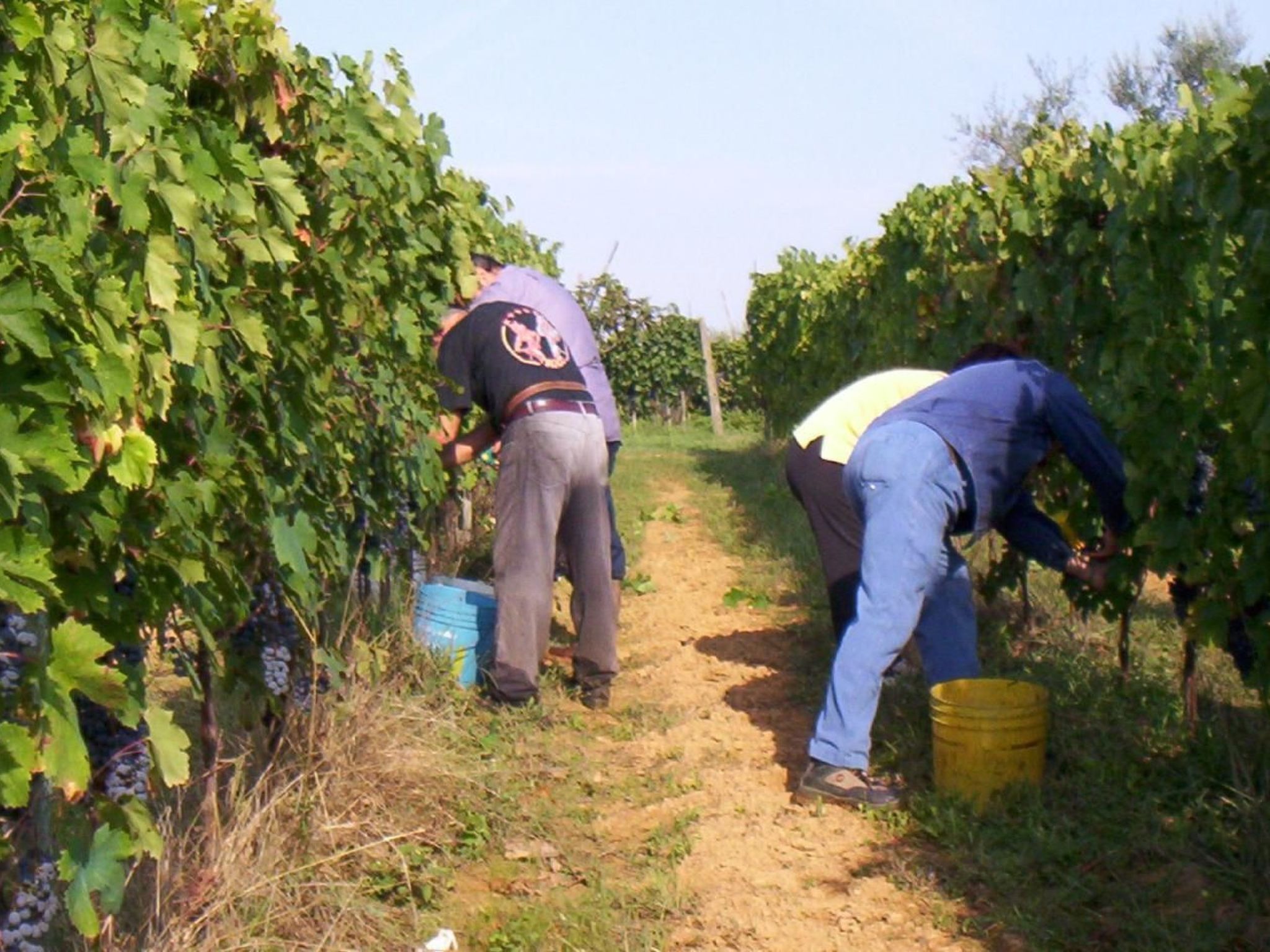 Anwesen mit Gemeinschaftspool-Binnen
