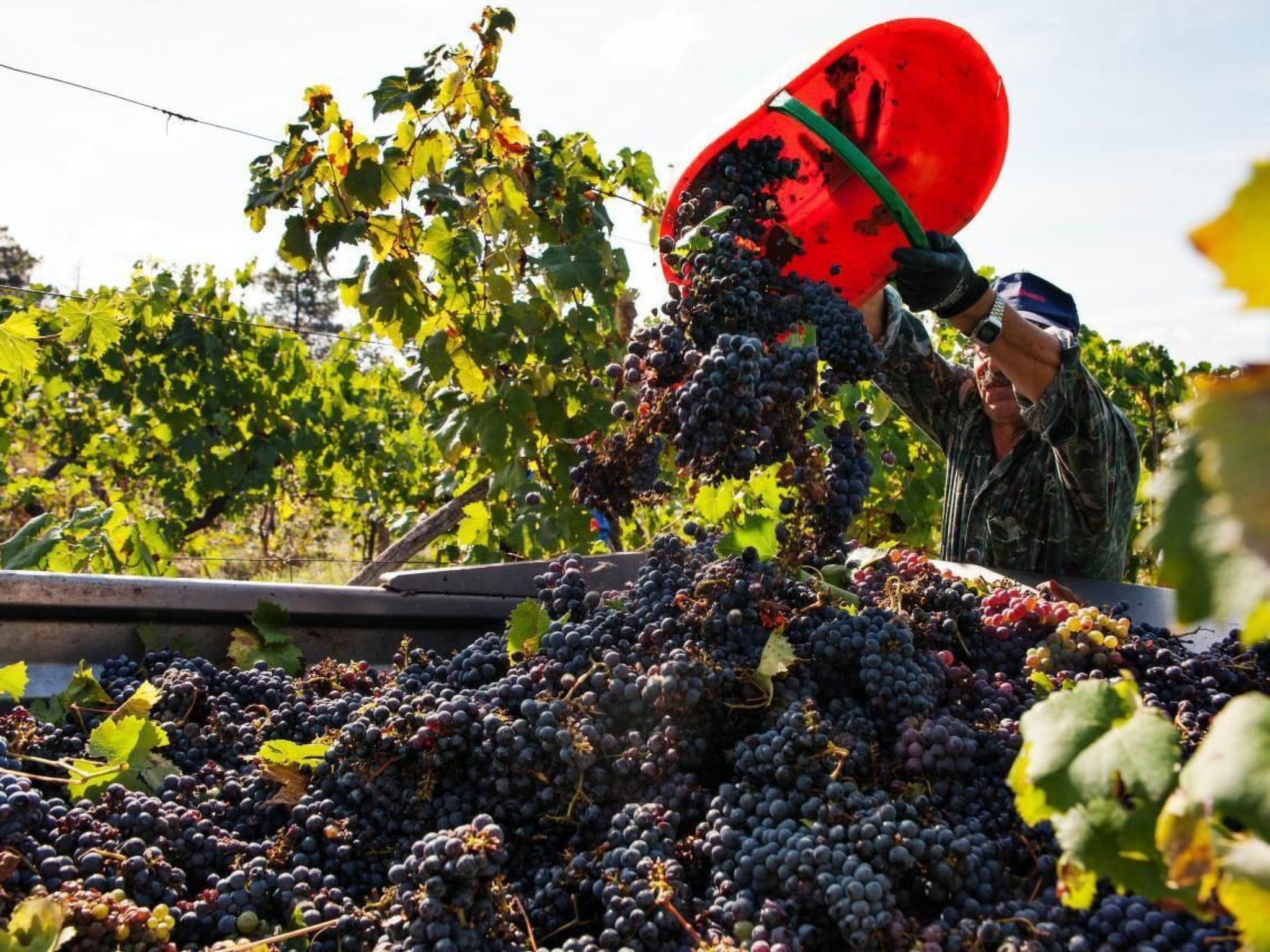 Anwesen mit Gemeinschaftspool-Binnen