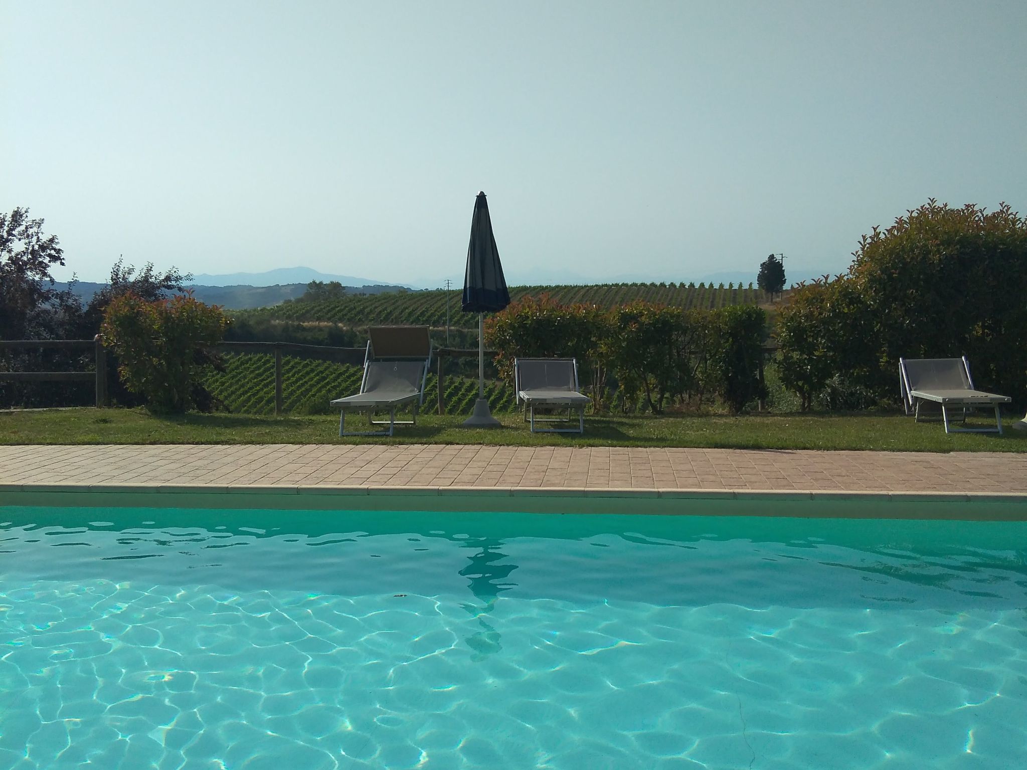 Agriturismo Poggio Pistolese - Zimmer La Ginestra