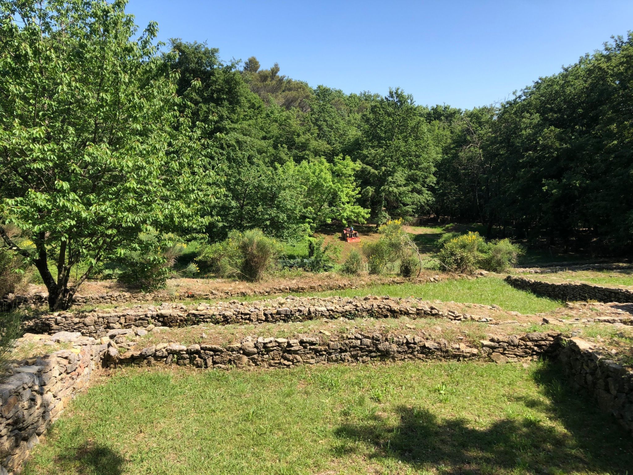 Mago in Ameglia - Buiten