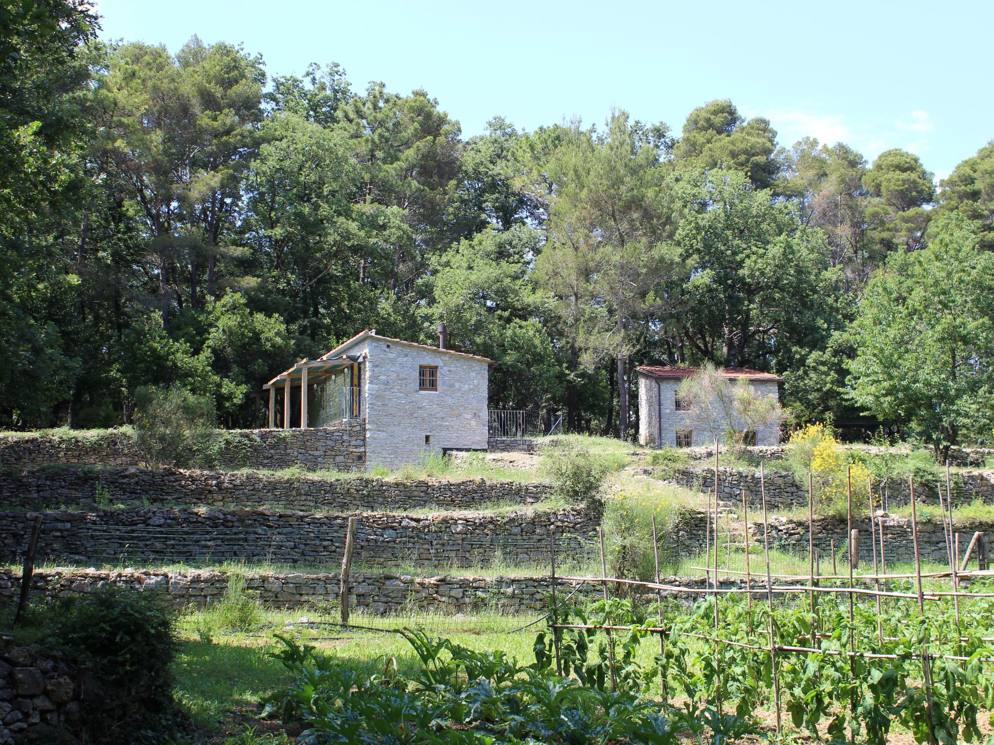 Mago in Ameglia - Buiten