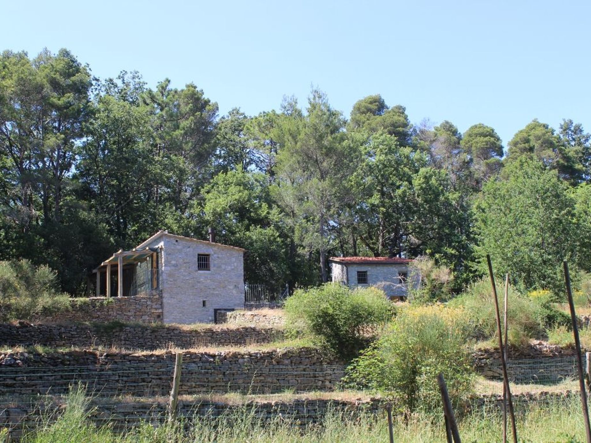 Mago in Ameglia - Buiten
