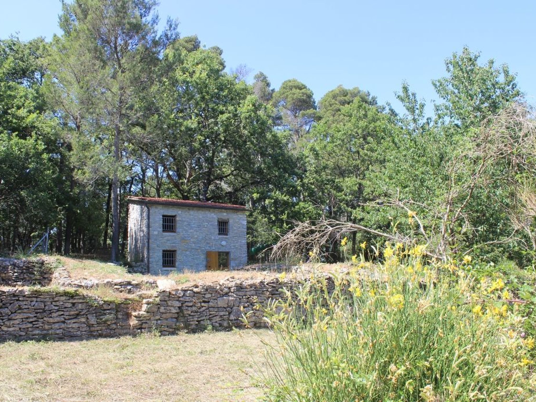 Mago in Ameglia - Buiten