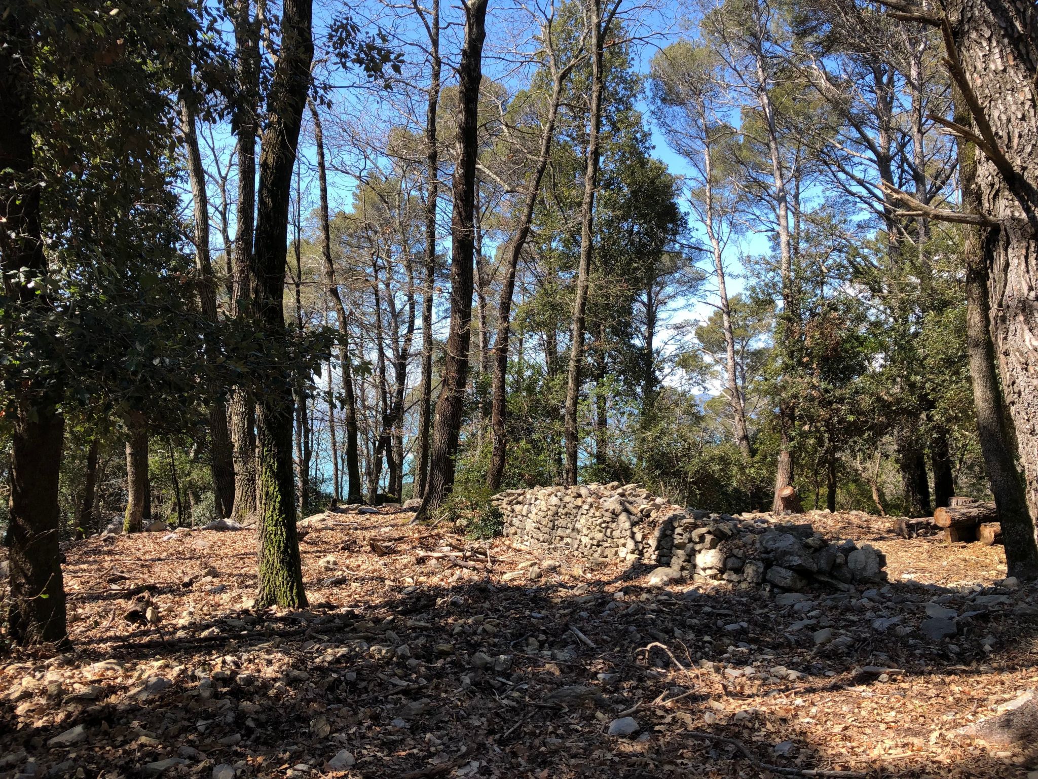 Mago in Ameglia - Buiten