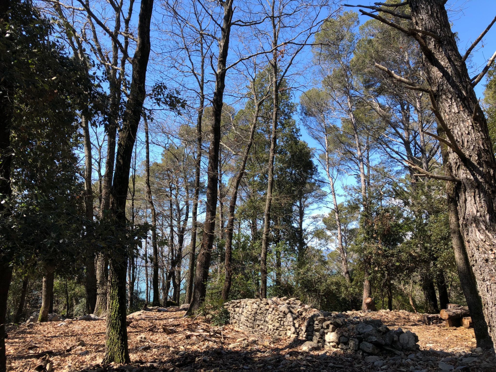 Mago in Ameglia - Buiten