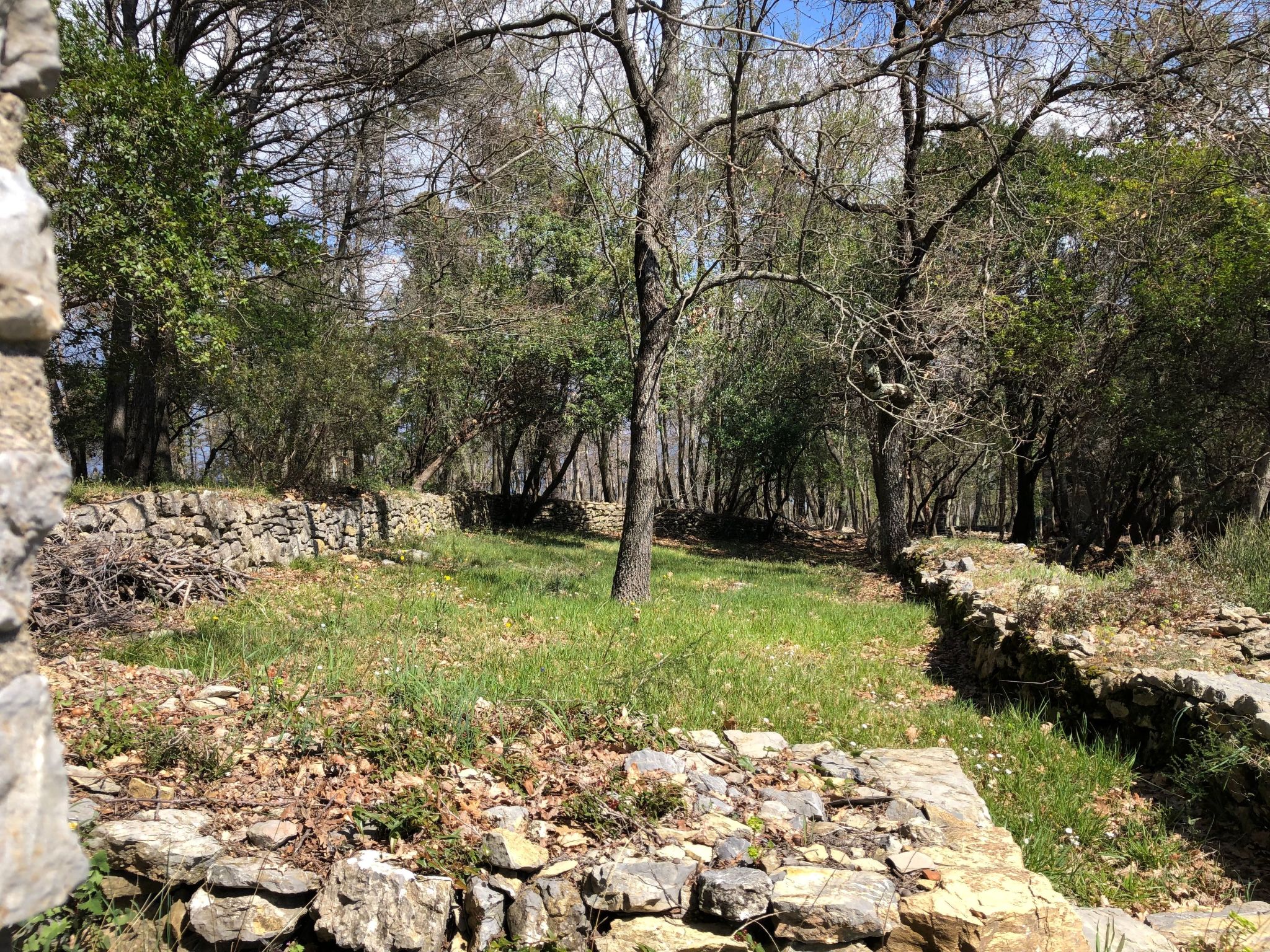 Mago in Ameglia - Buiten