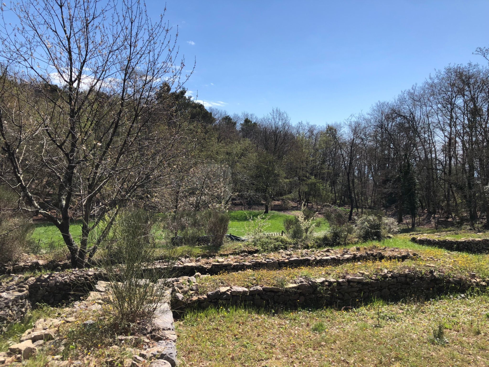 Mago in Ameglia - Buiten