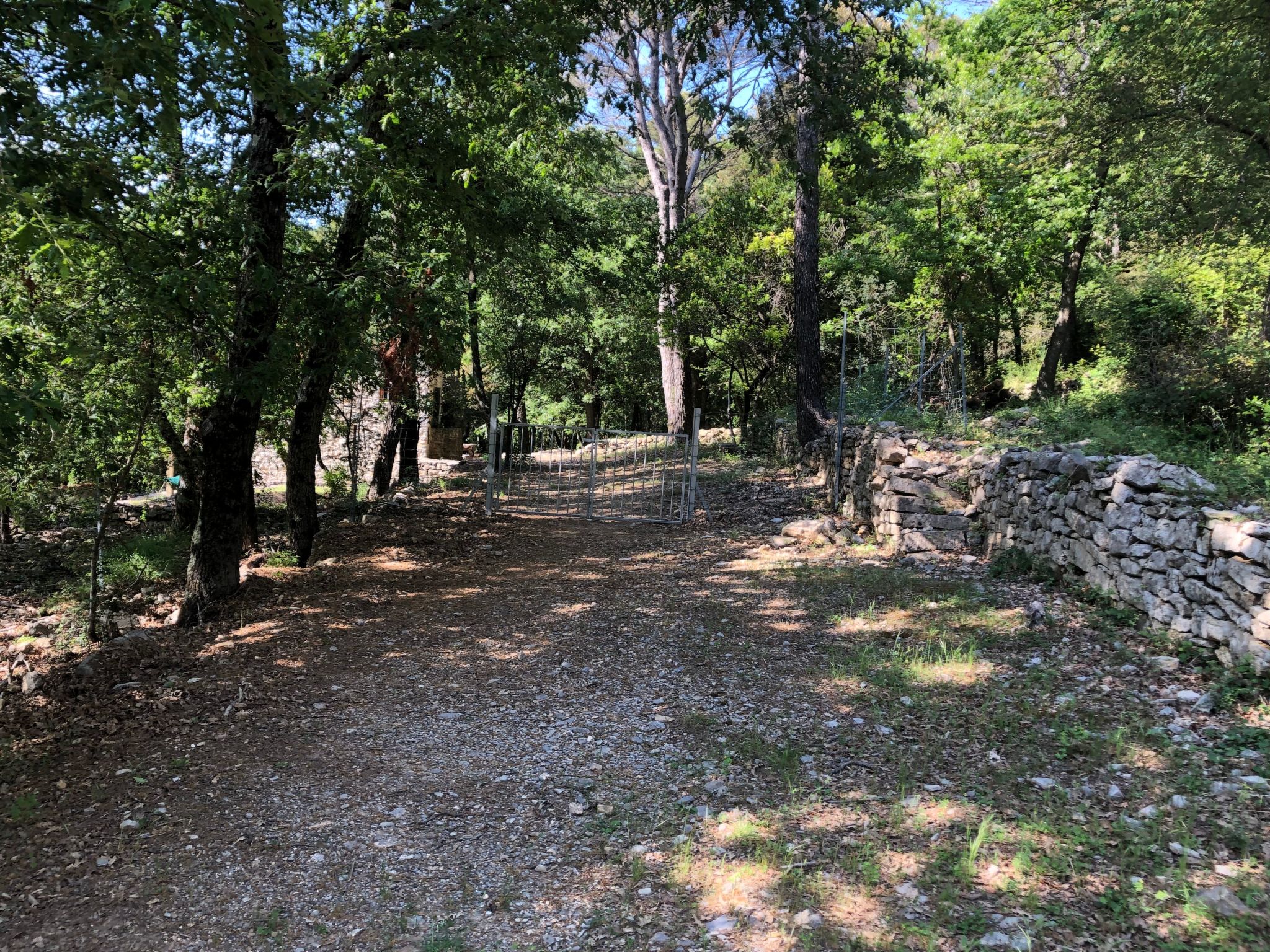 Zypressen, ein Haus im Wald an der ligurischen Riviera - Buiten