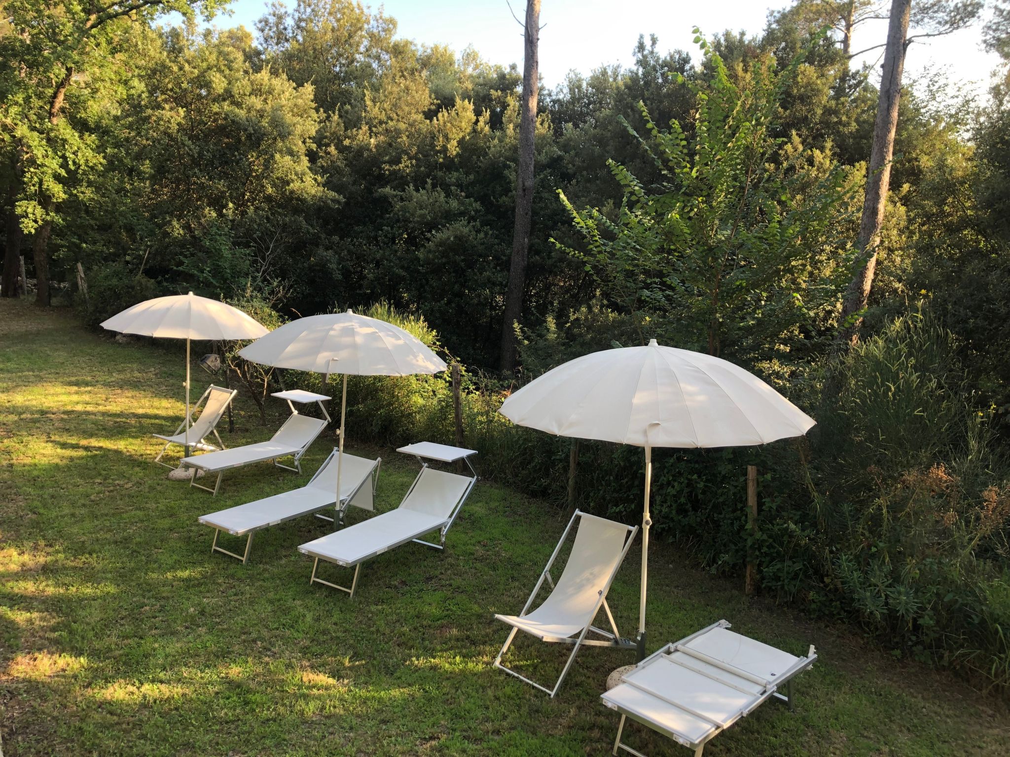 Zypressen, ein Haus im Wald an der ligurischen Riviera - Buiten