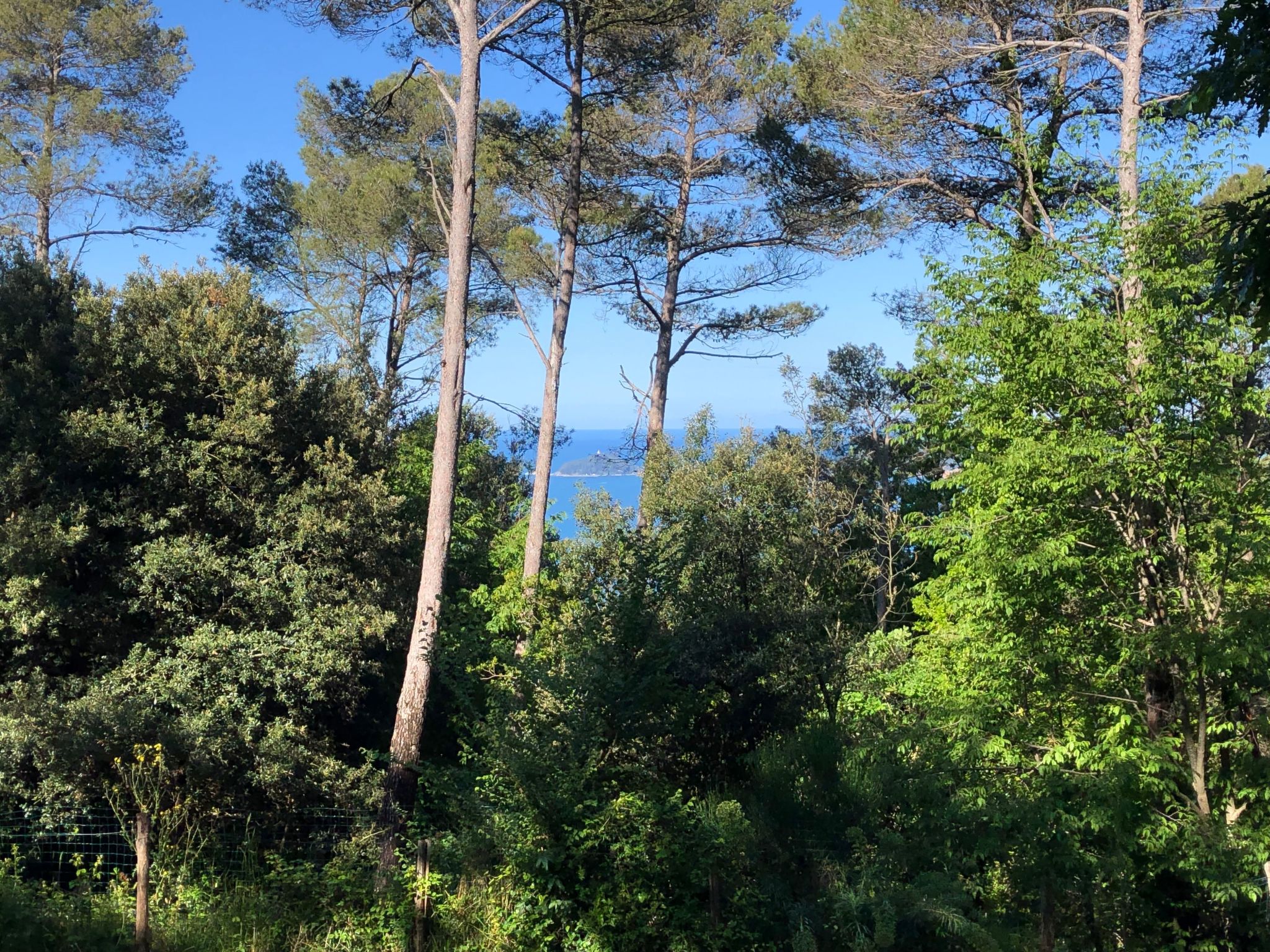 Zypressen, ein Haus im Wald an der ligurischen Riviera - Buiten