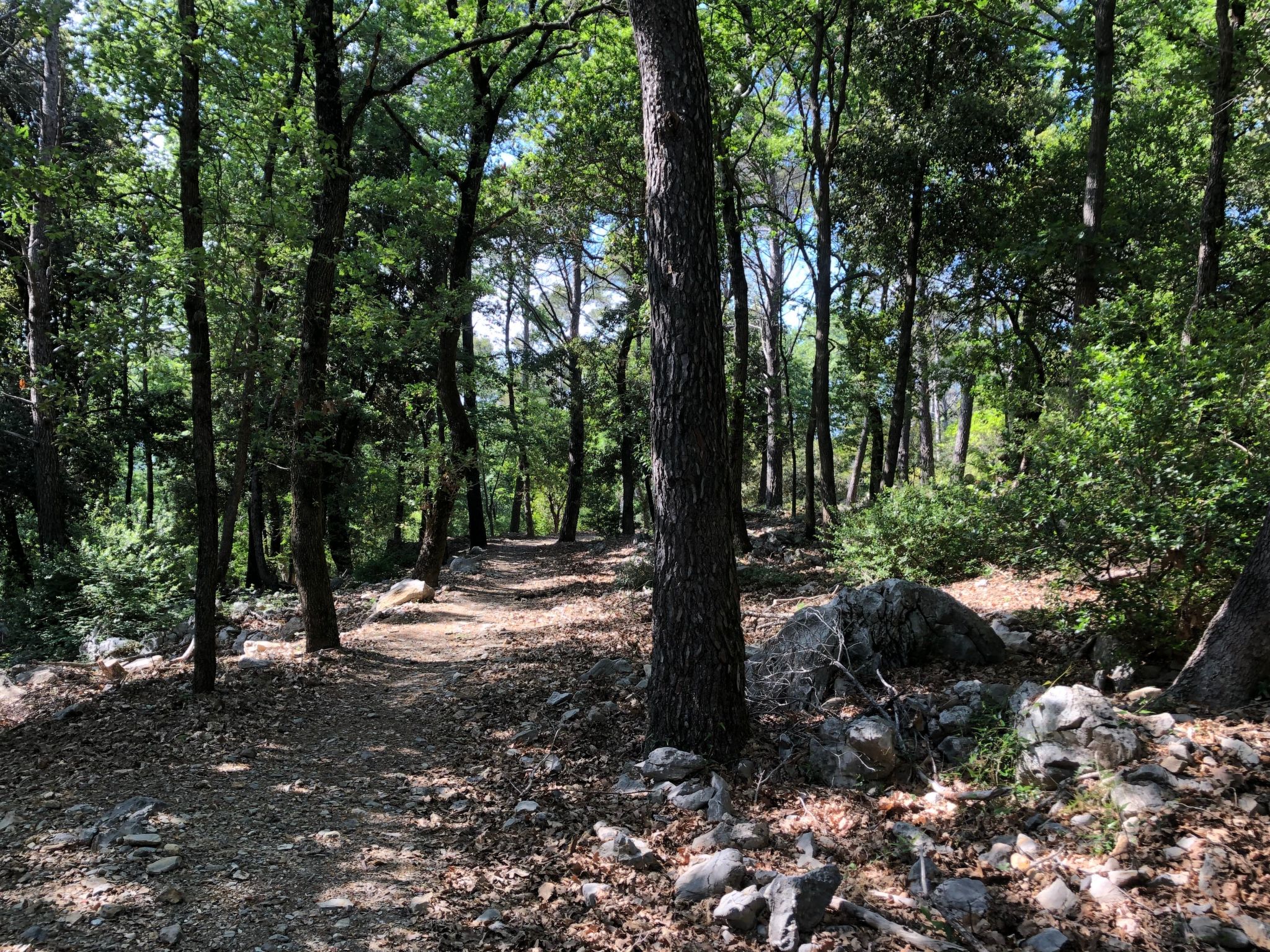 Zypressen, ein Haus im Wald an der ligurischen Riviera - Buiten