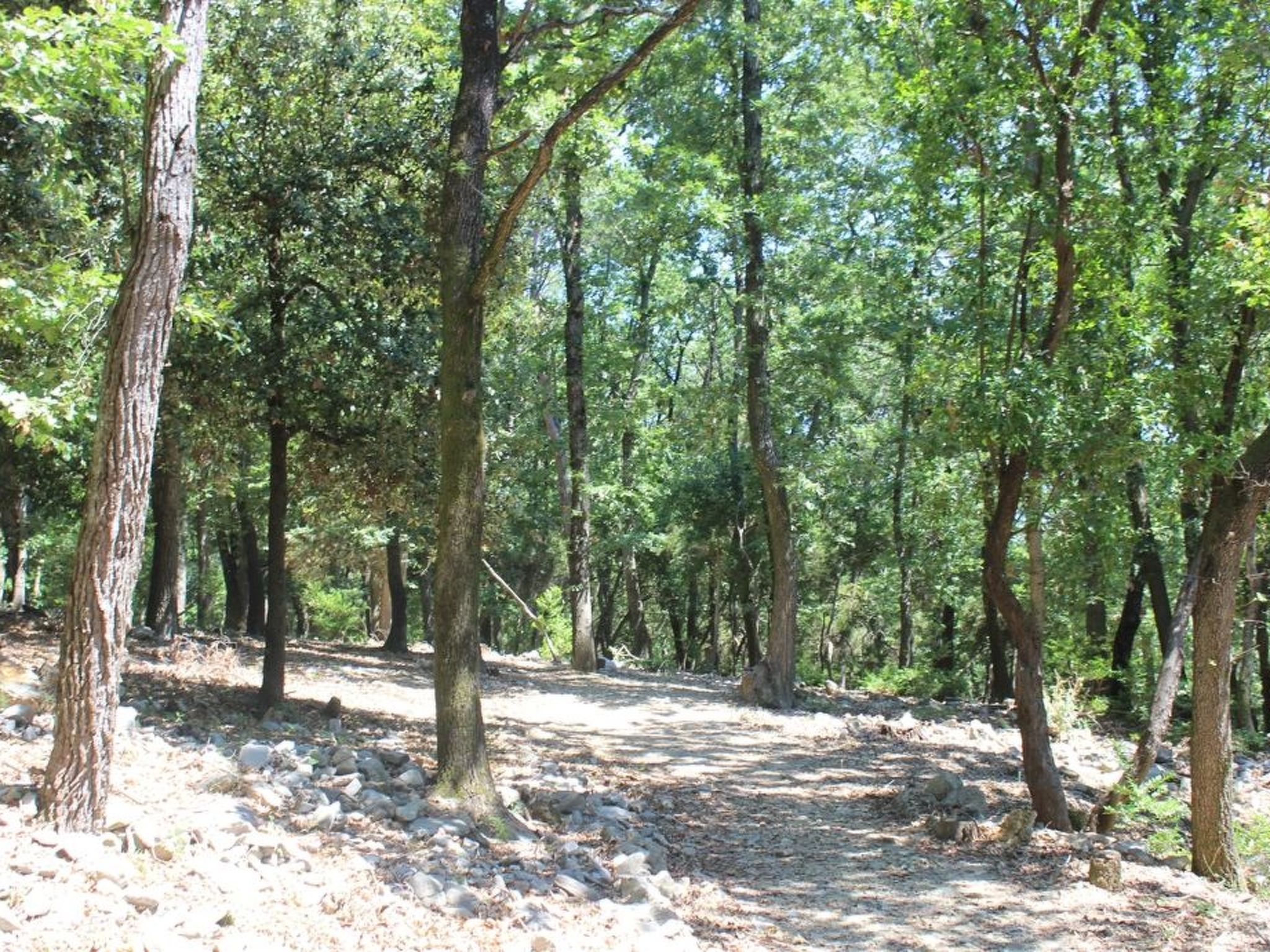 Zypressen, ein Haus im Wald an der ligurischen Riviera - Buiten