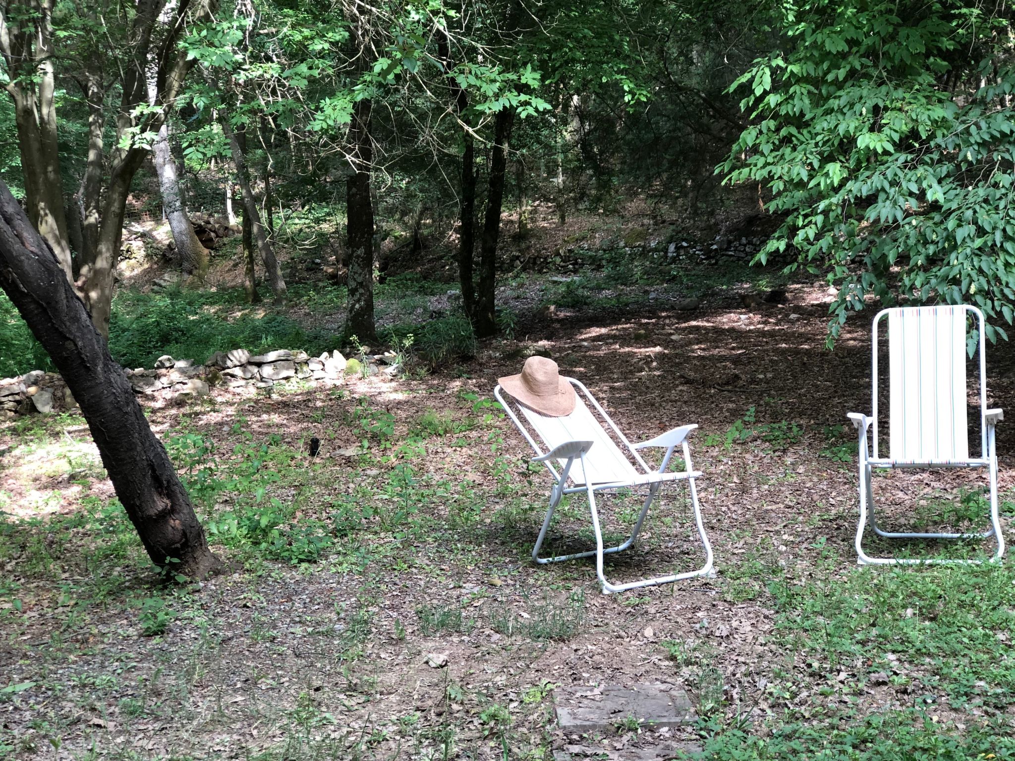 Kirschbäume, eine Oase im Wald zwischen Meer und Natur - Buiten
