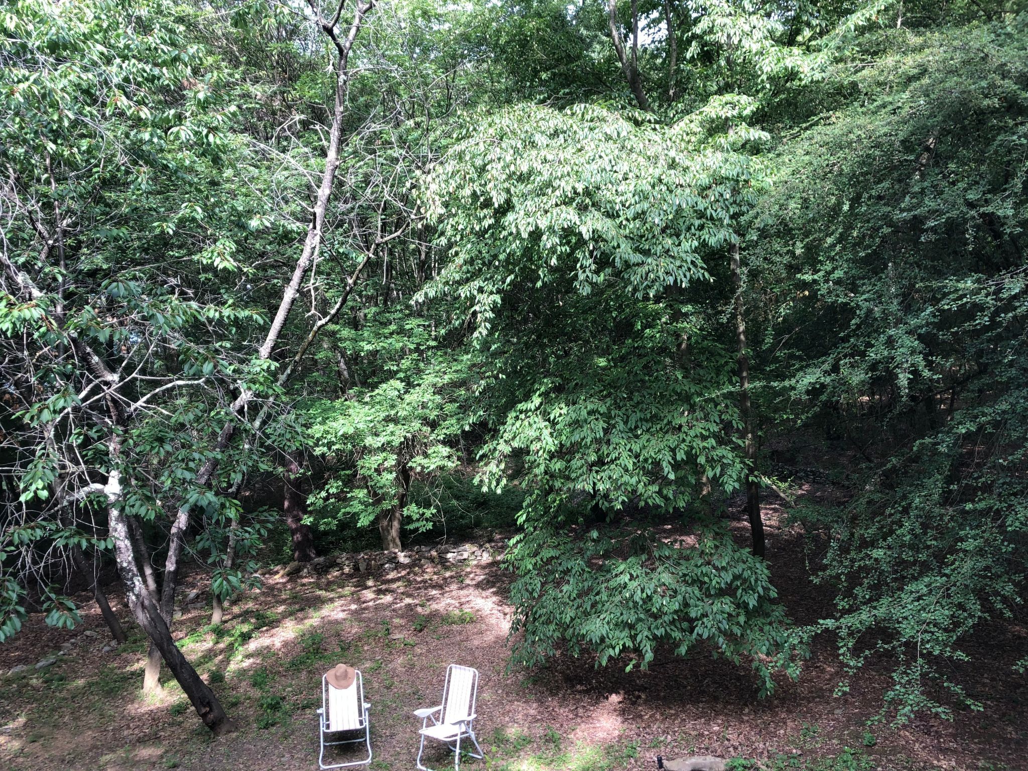 Kirschbäume, eine Oase im Wald zwischen Meer und Natur - Buiten