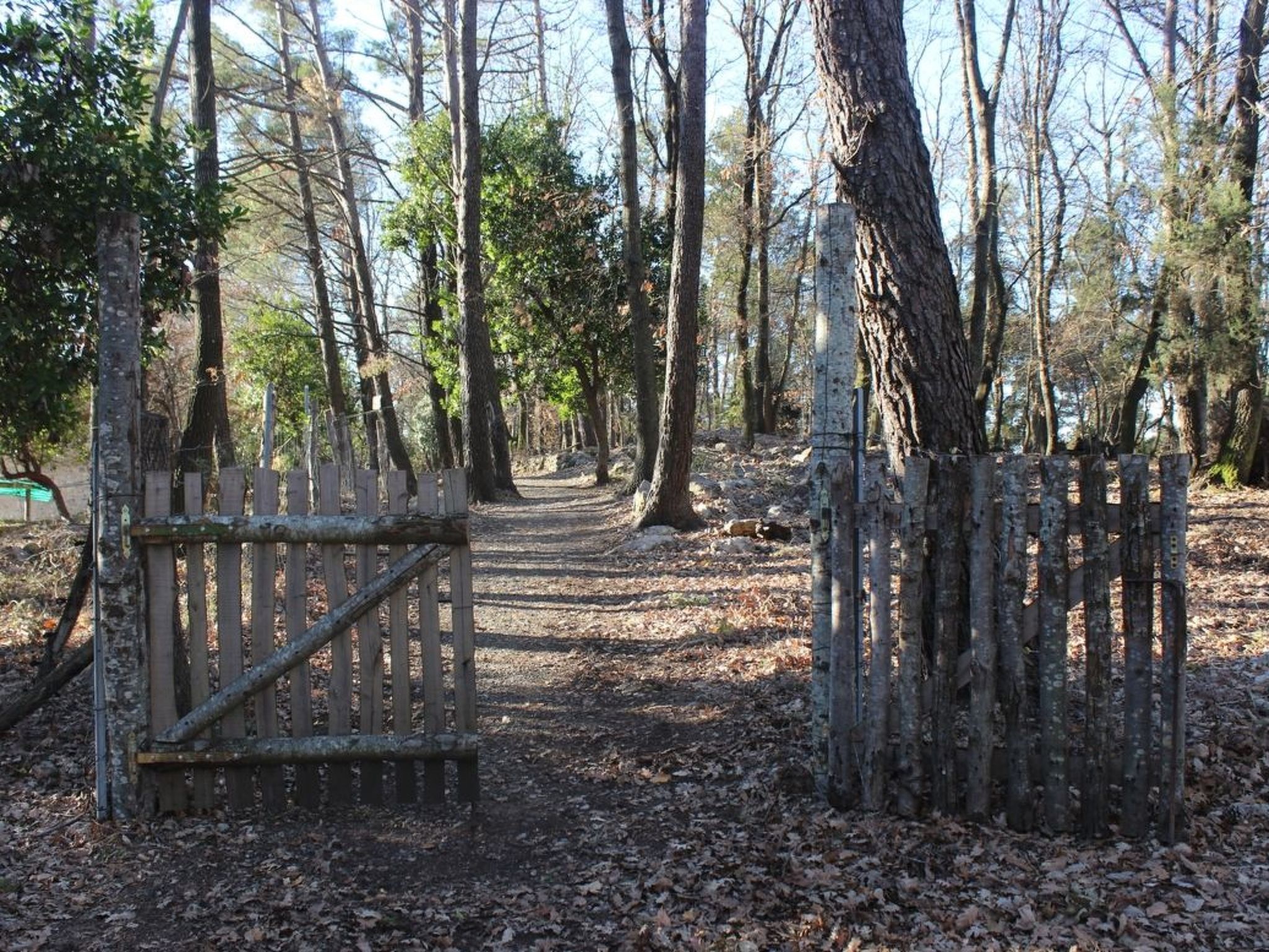 Kirschbäume, eine Oase im Wald zwischen Meer und Natur - Buiten