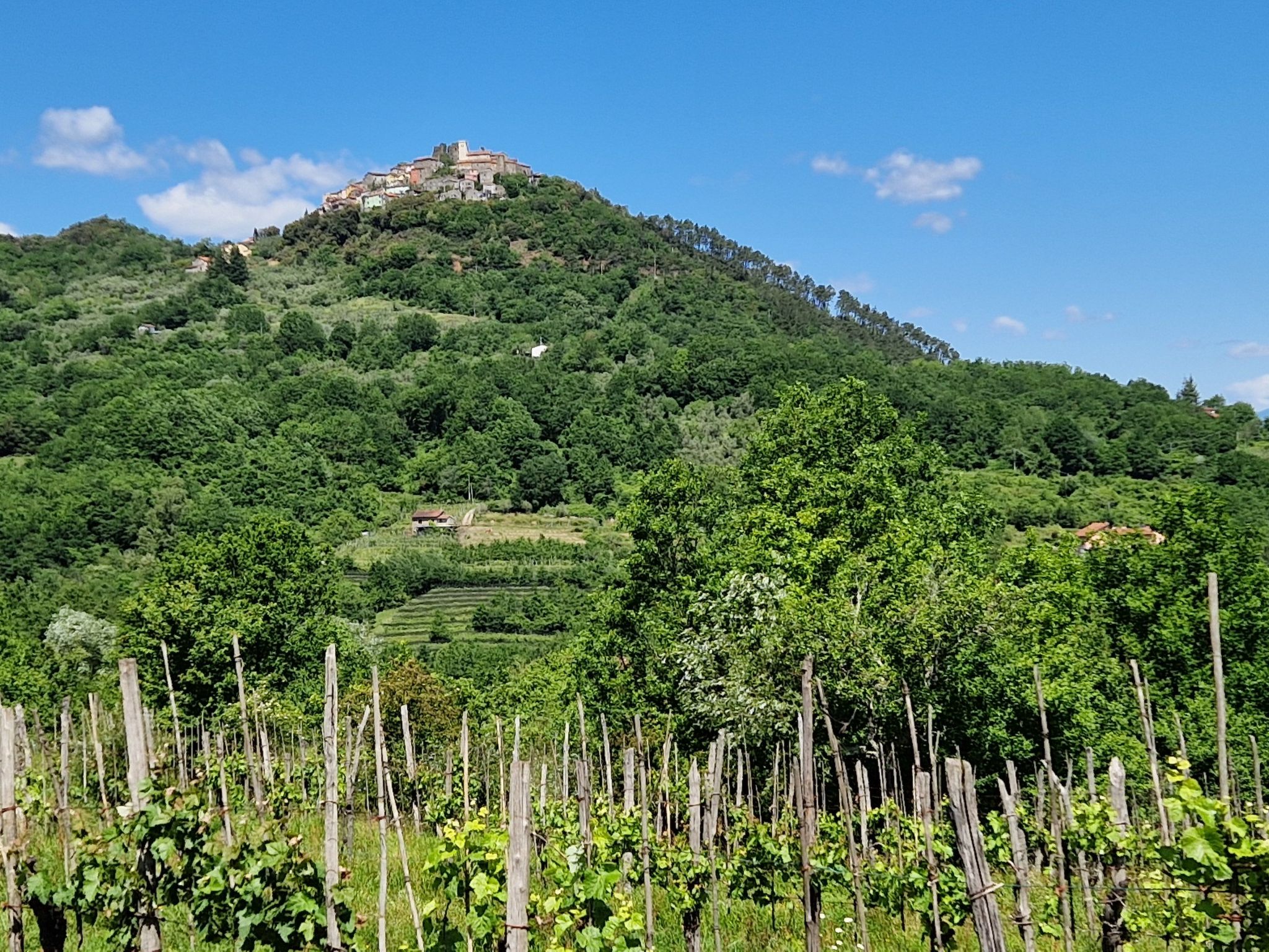 Mini-Appartement Casa Colombana mit Panoramablick-Binnen