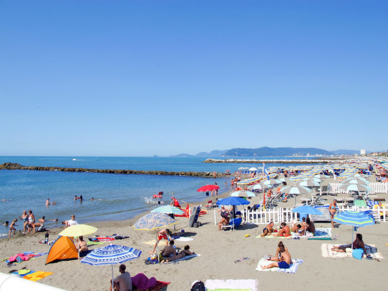 Magnolia Apartment in Forte dei Marmi